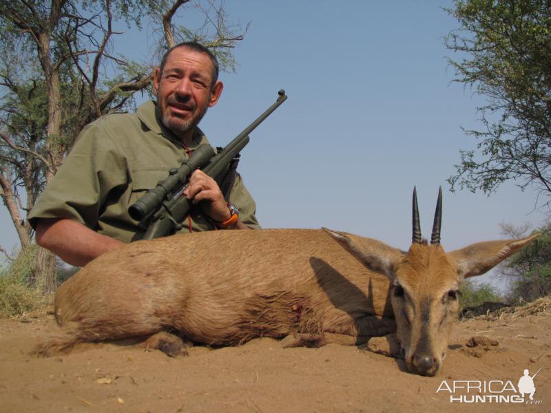 Duiker Hunting Namibia