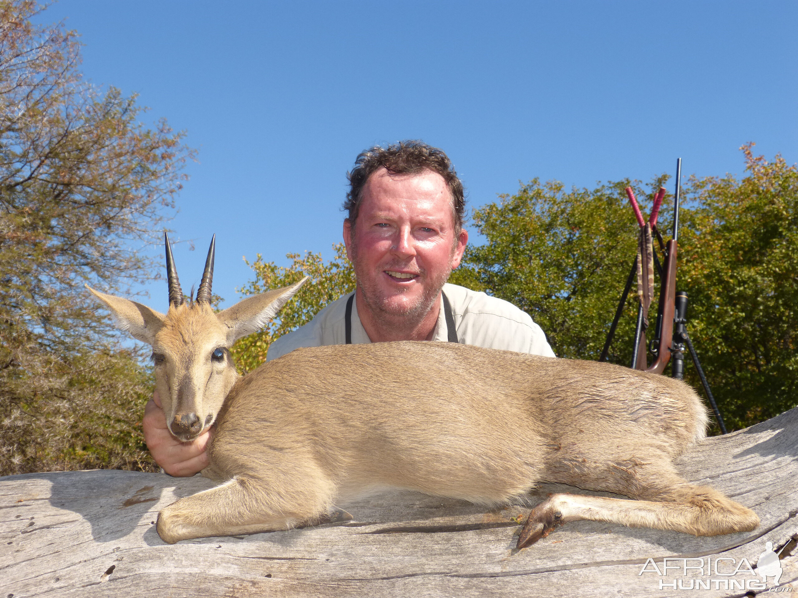 Duiker Hunting South Africa