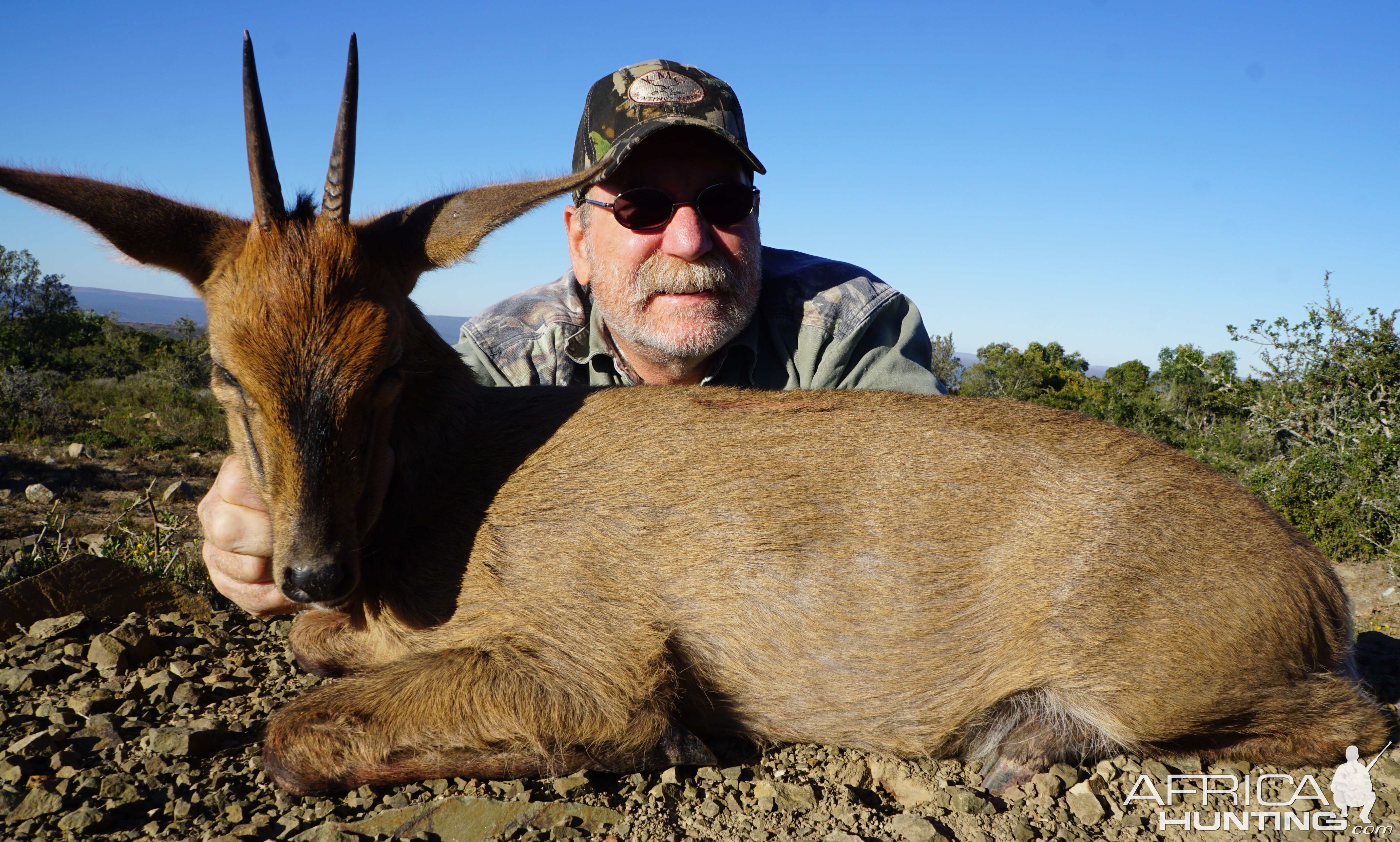 Duiker Hunting South Africa