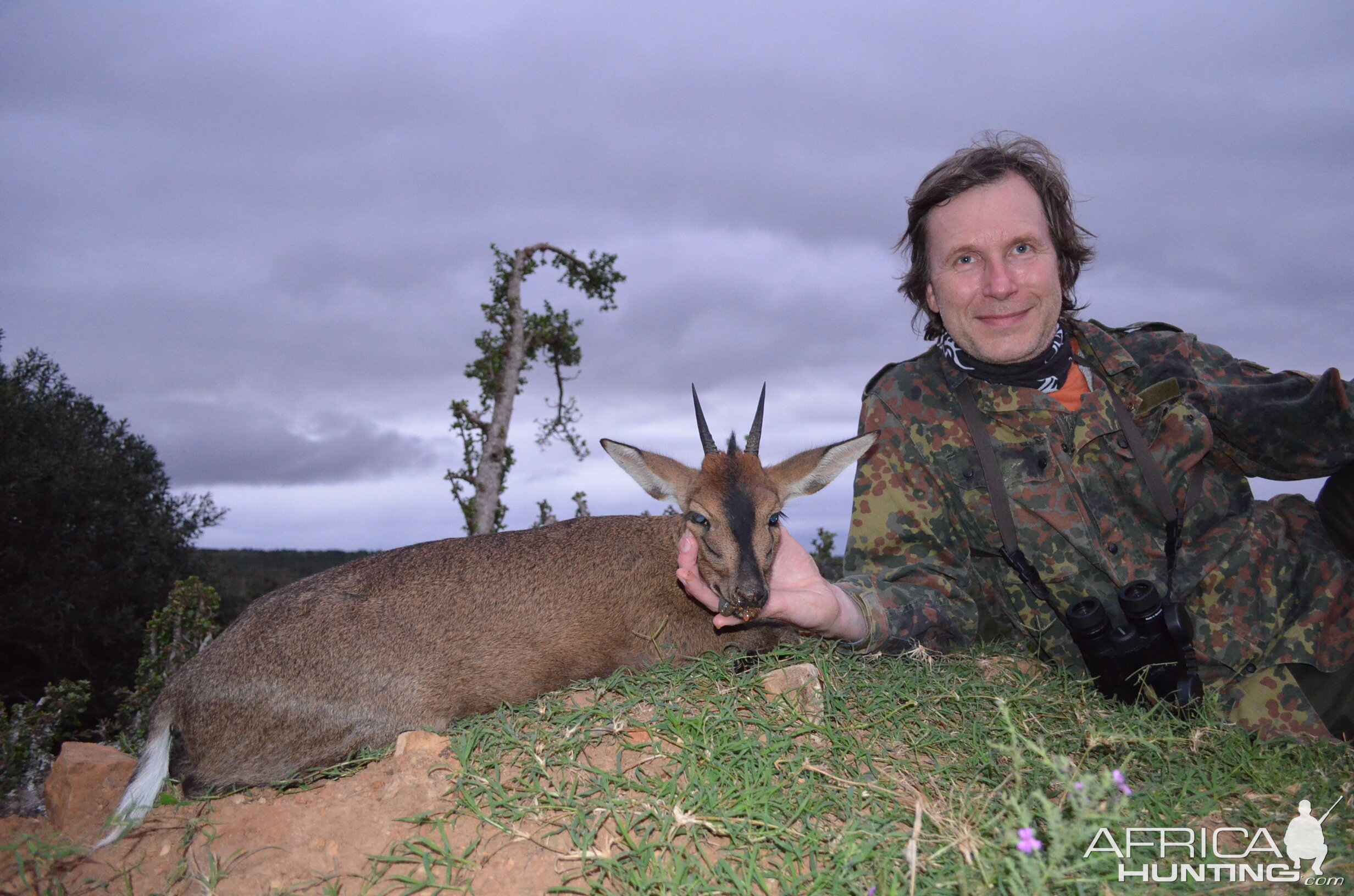 Duiker KMG Hunting Safaris