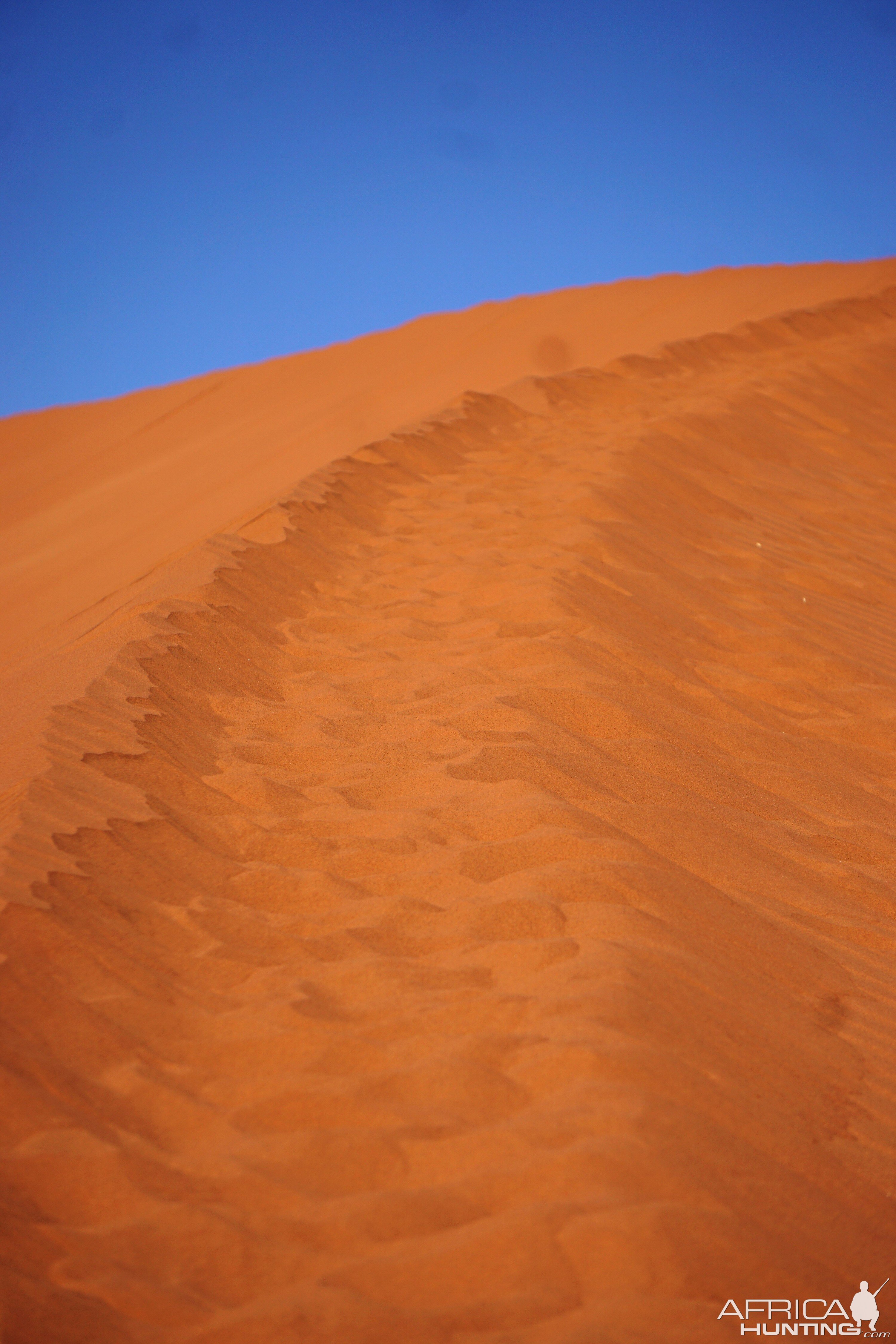 Dune 45 Sossusvlei in Namibia