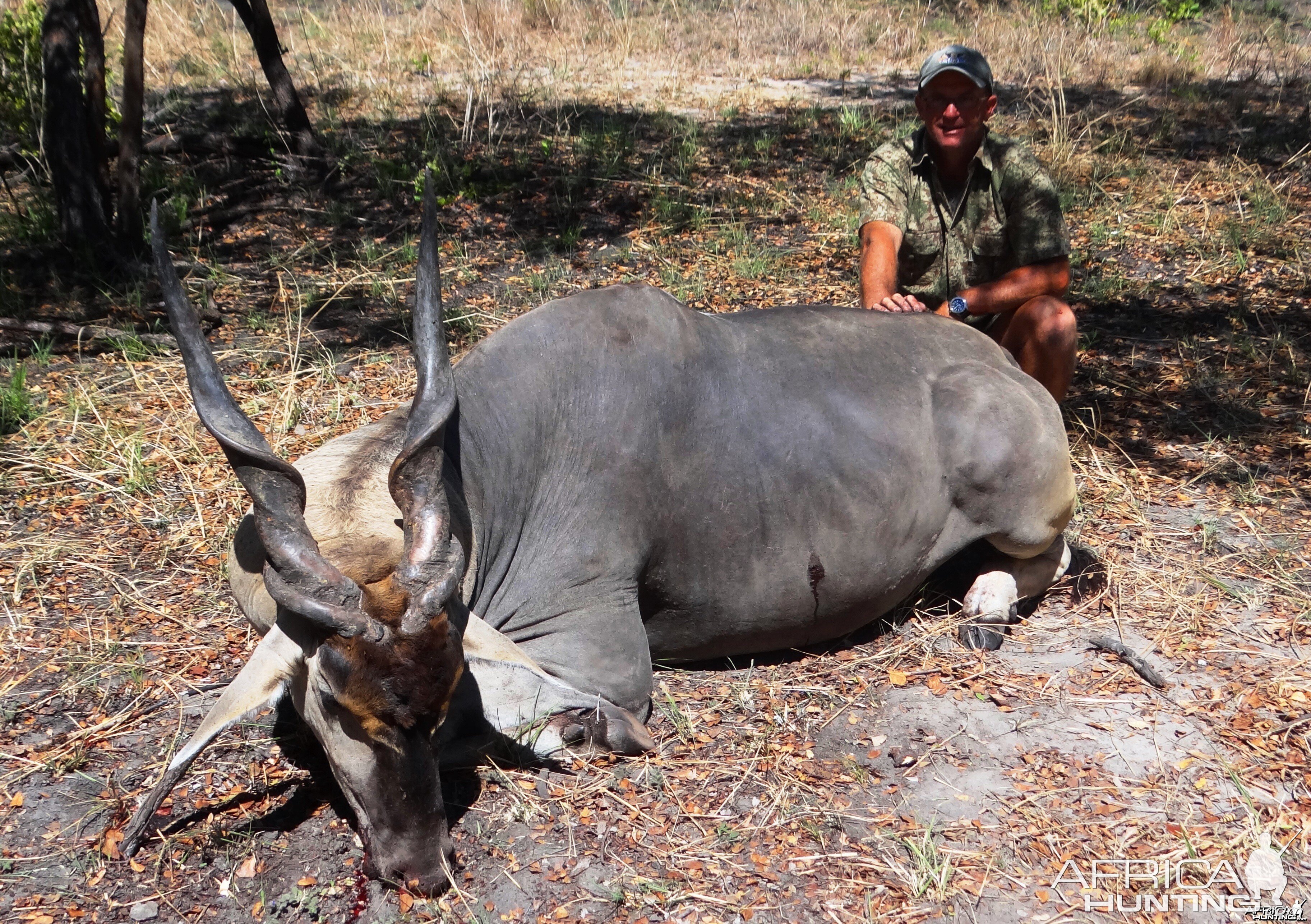 East African Eland. Number 3 SCI