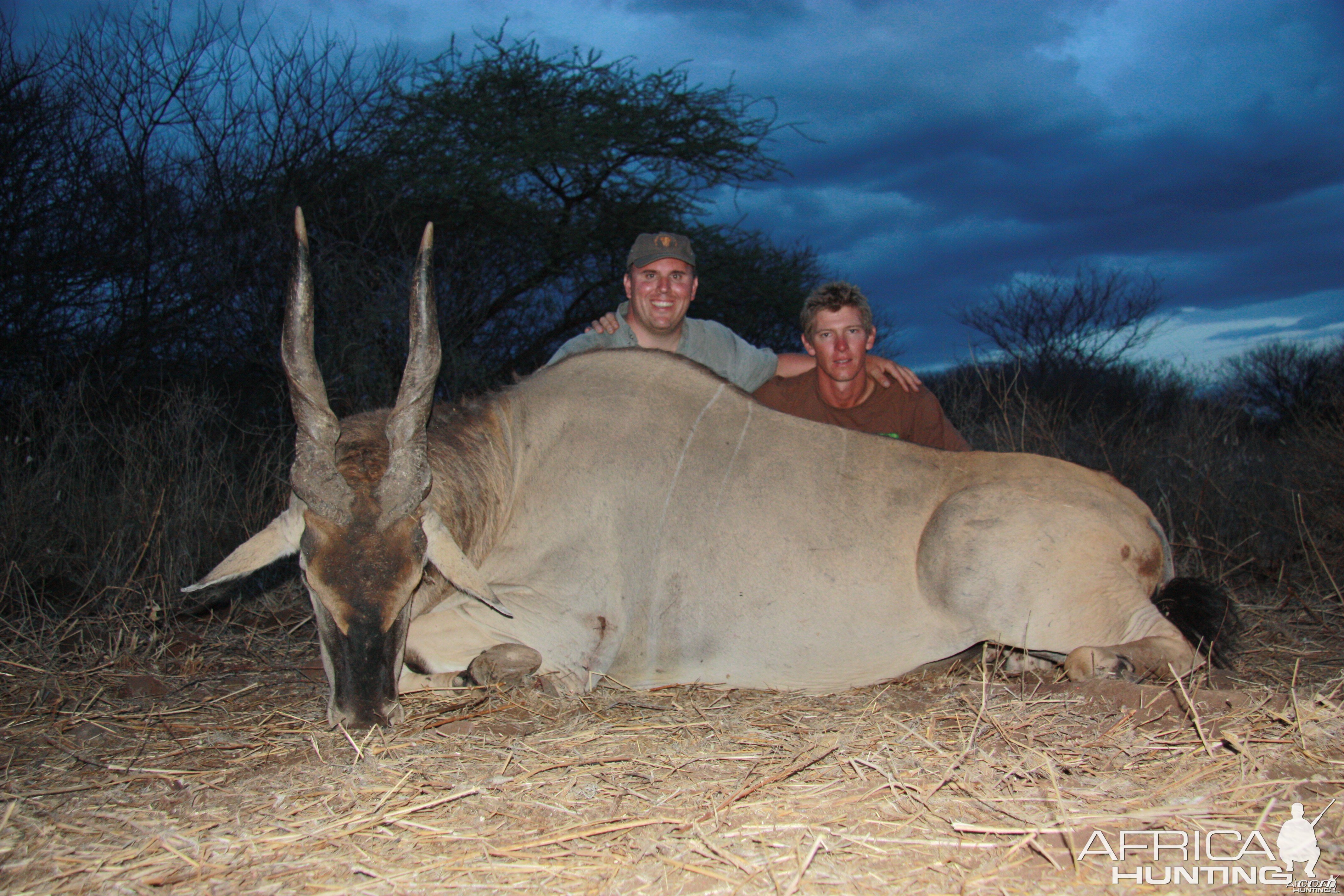 East African Eland