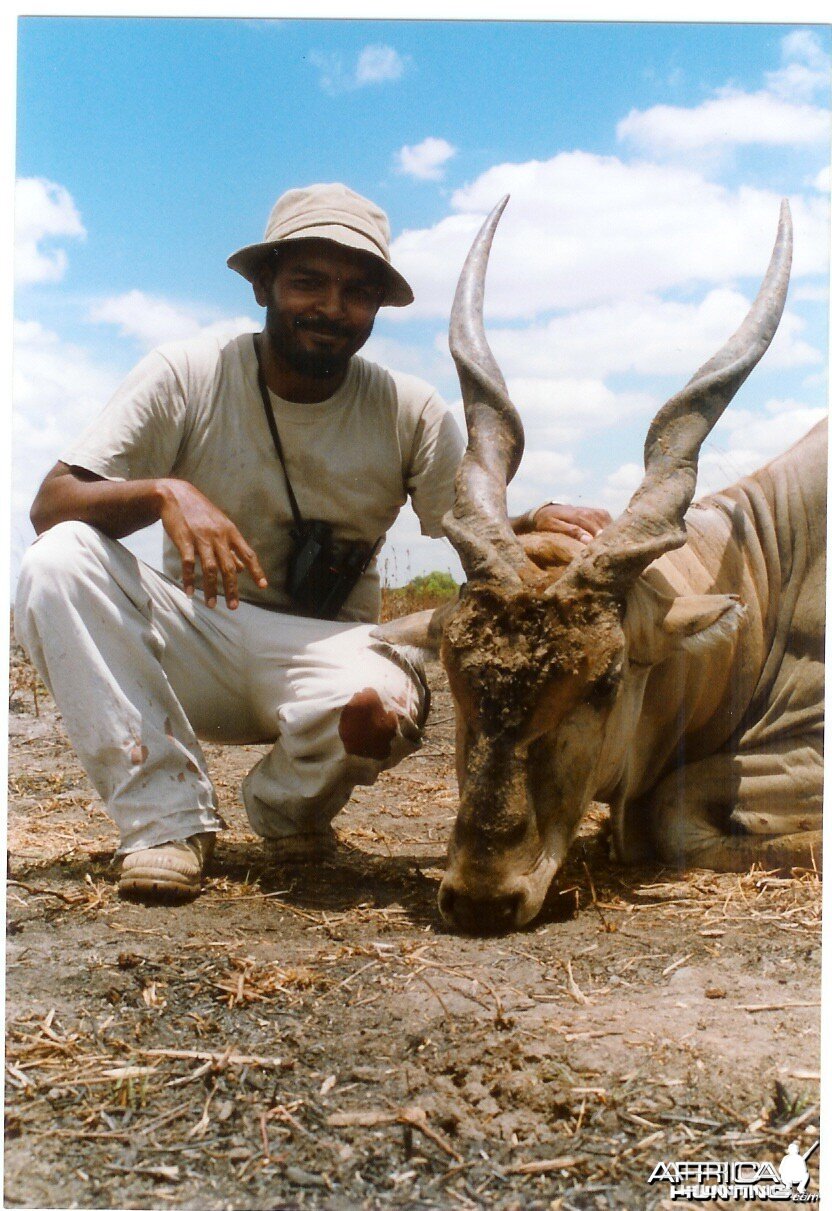 East African Eland