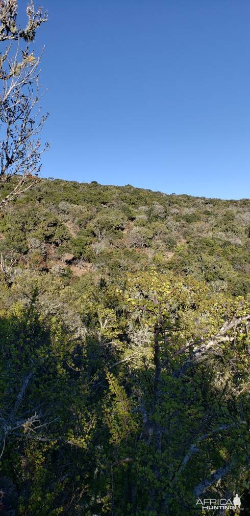 Eastern Cape Hunting South Africa