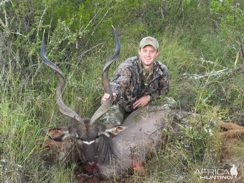 Eastern Cape Kudu Bull