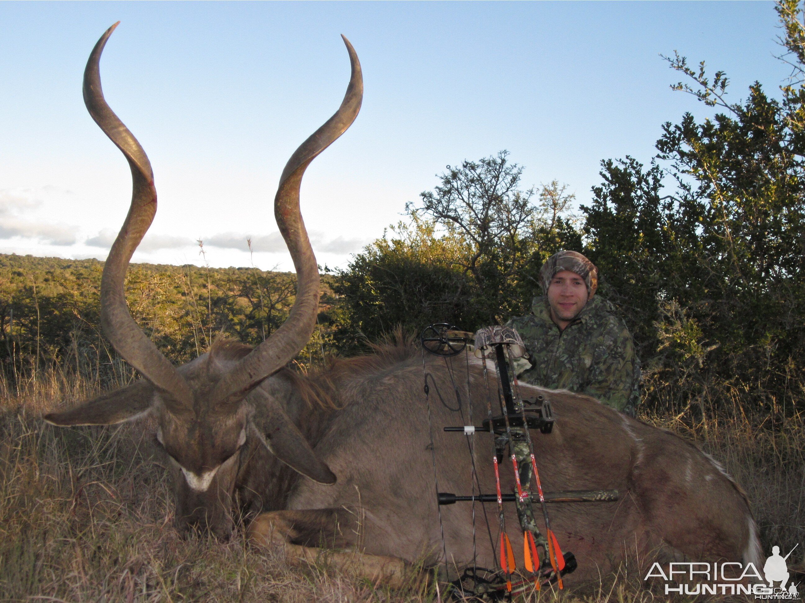 Eastern Cape Kudu