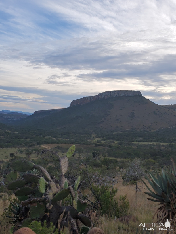 Eastern Cape Nature South Africa