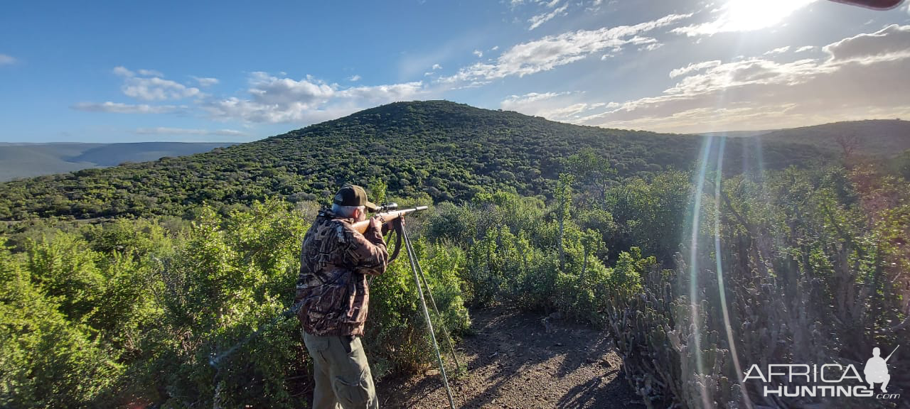 Eastern Cape Nature South Africa