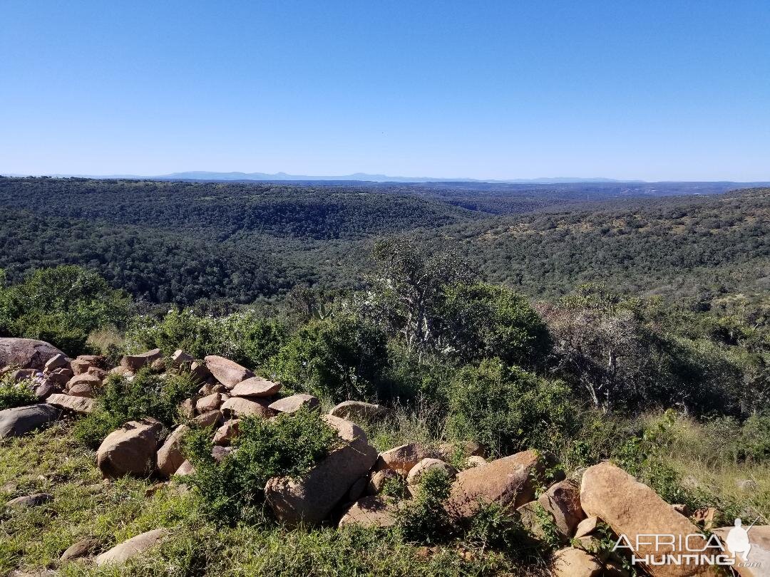 Eastern Cape South Africa Nature