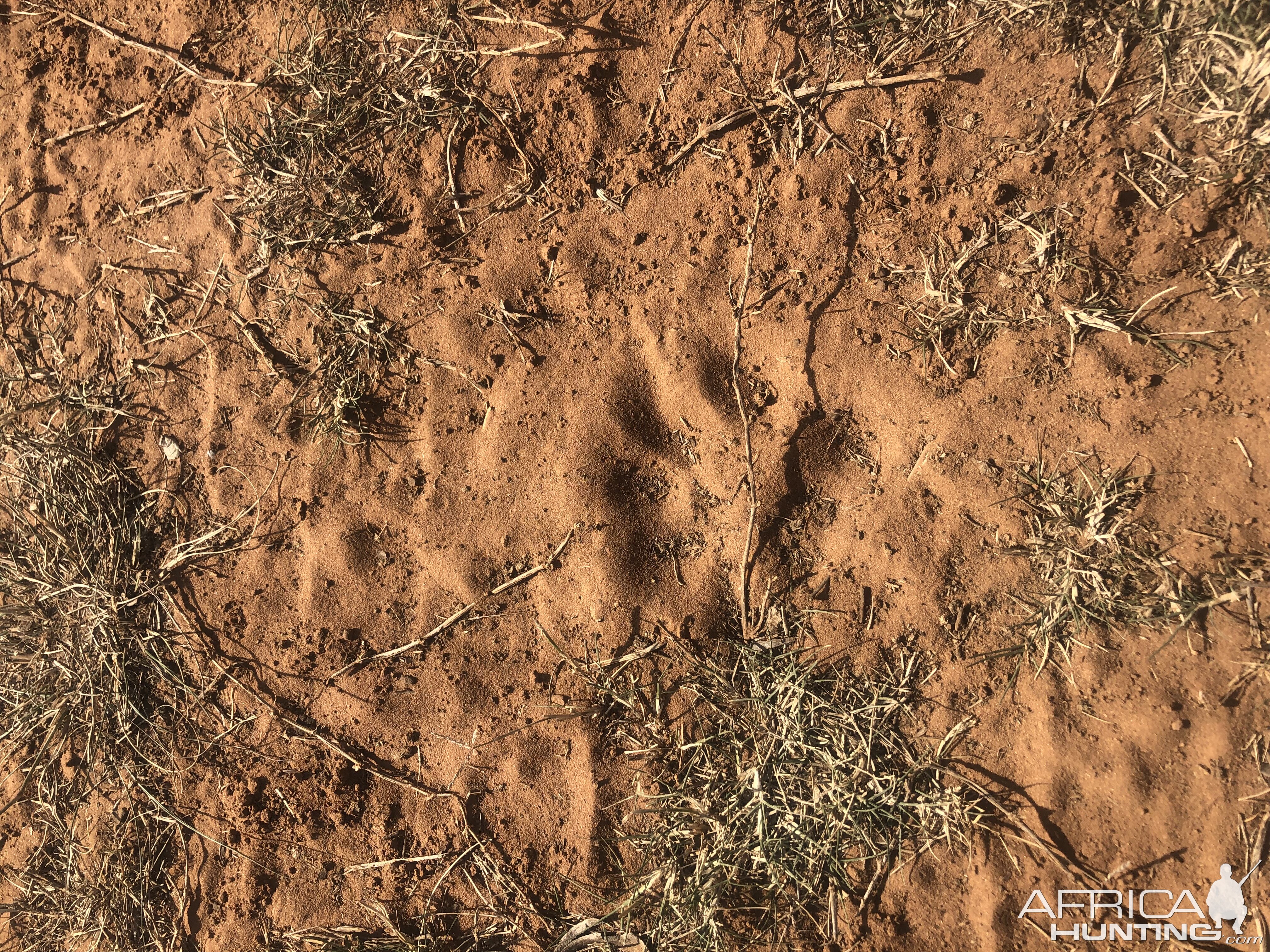 Eastern Cape Wildife South Africa