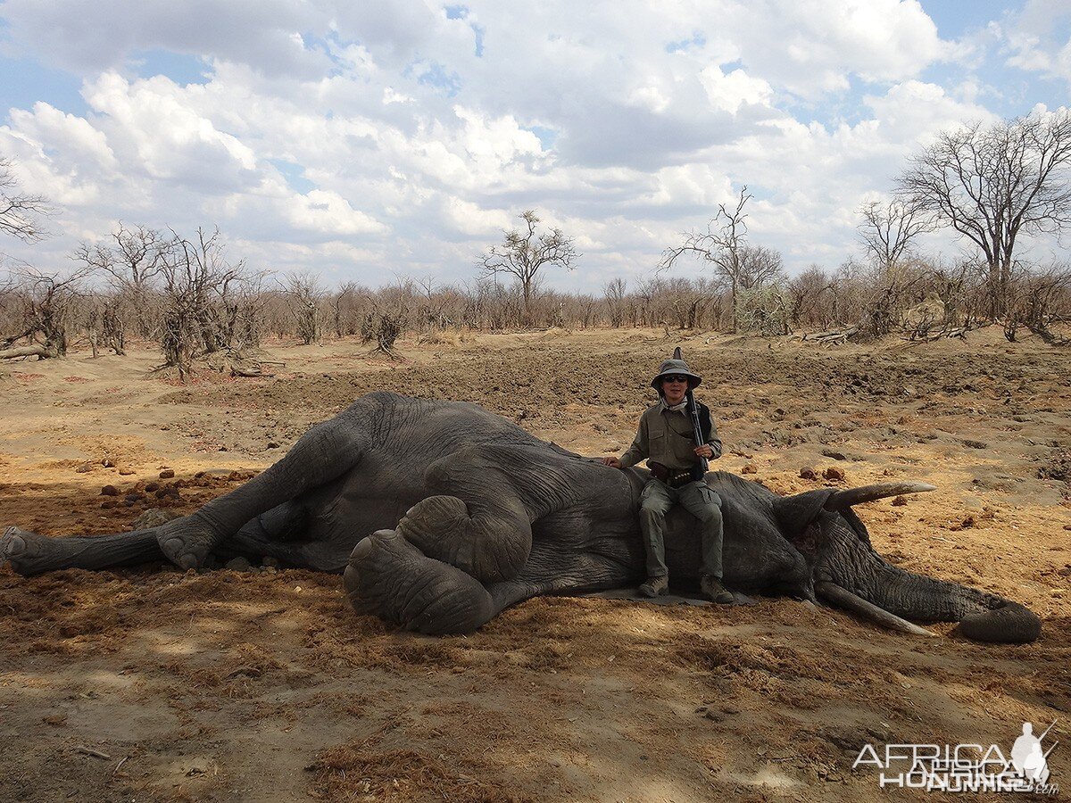 Eighth bull - Zimbabwe October 2013