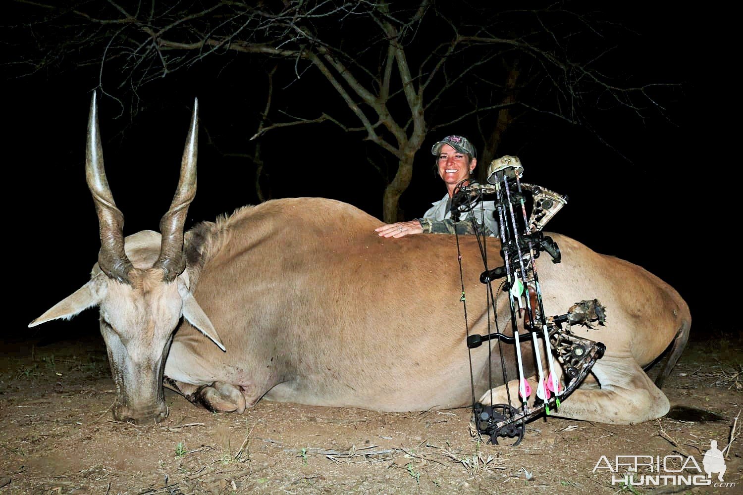 Eland Bow Hunt South Africa