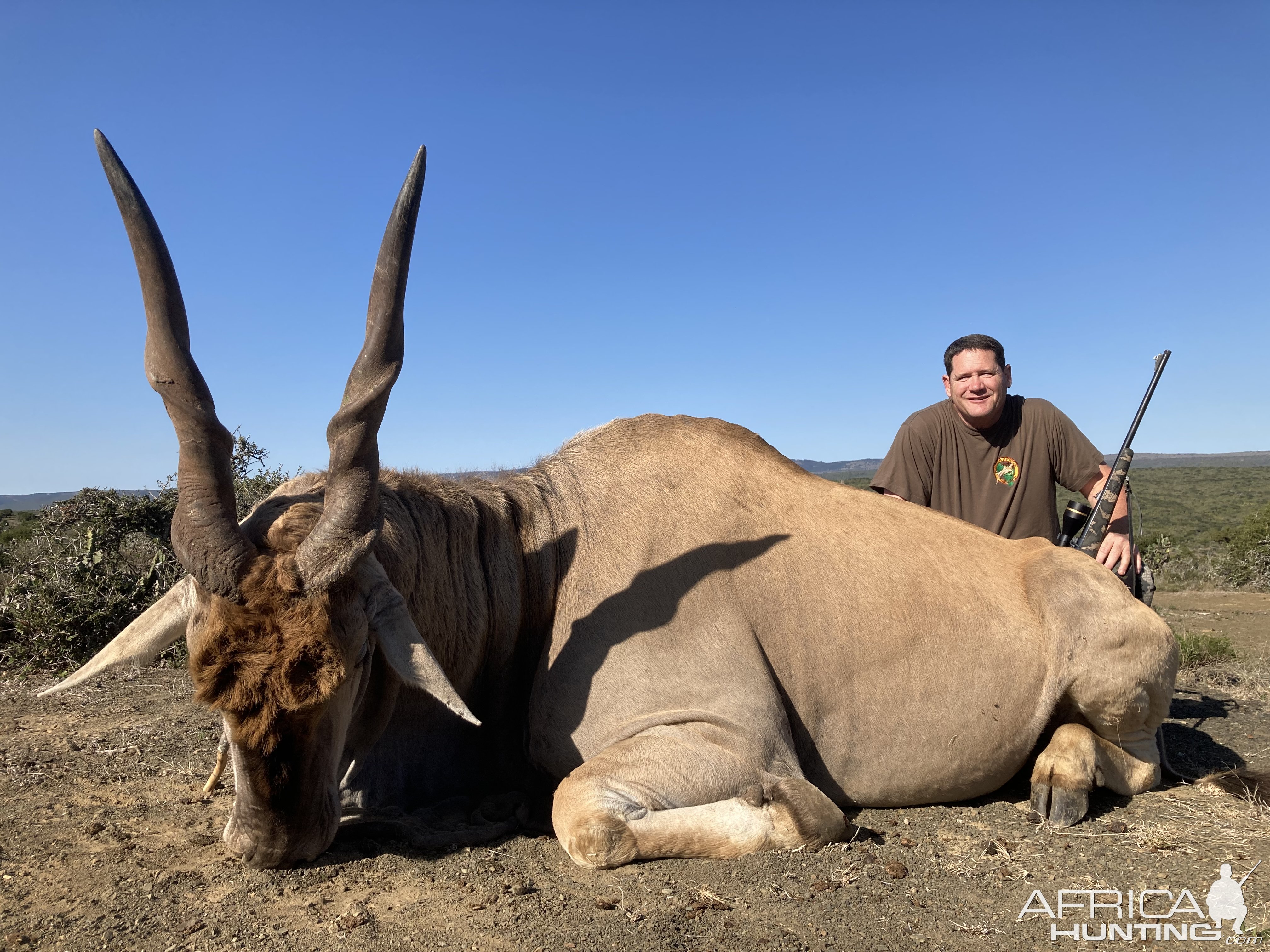 Eland Bull Hunt South Africa