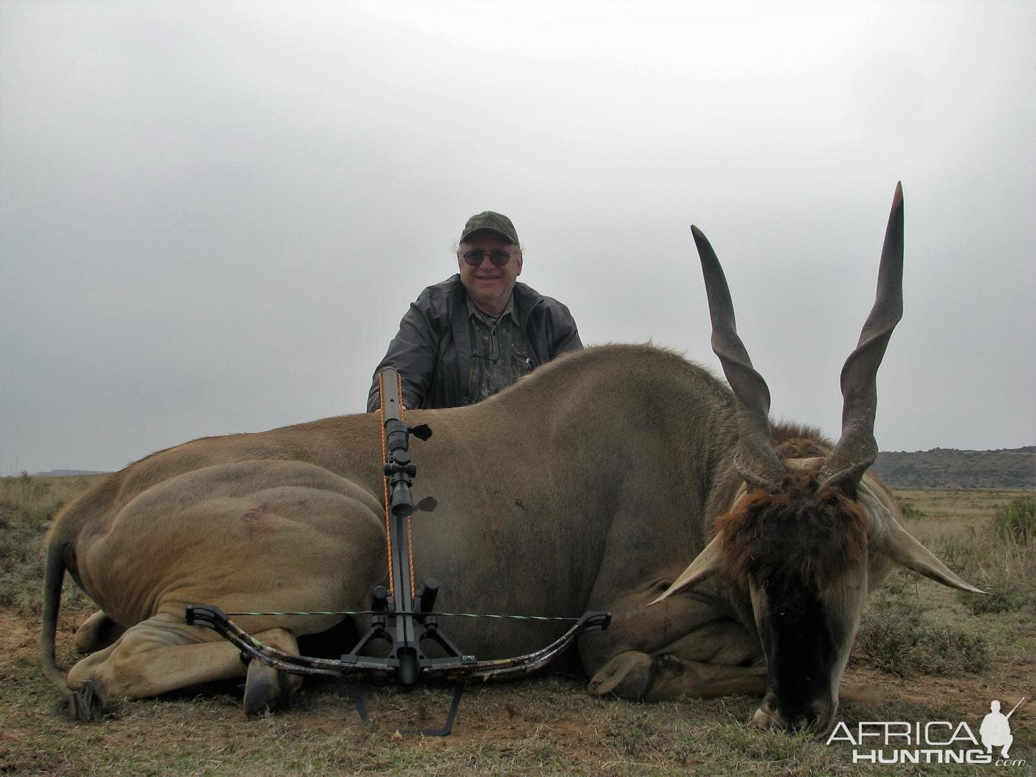 Eland Crossbow Hunting South Africa