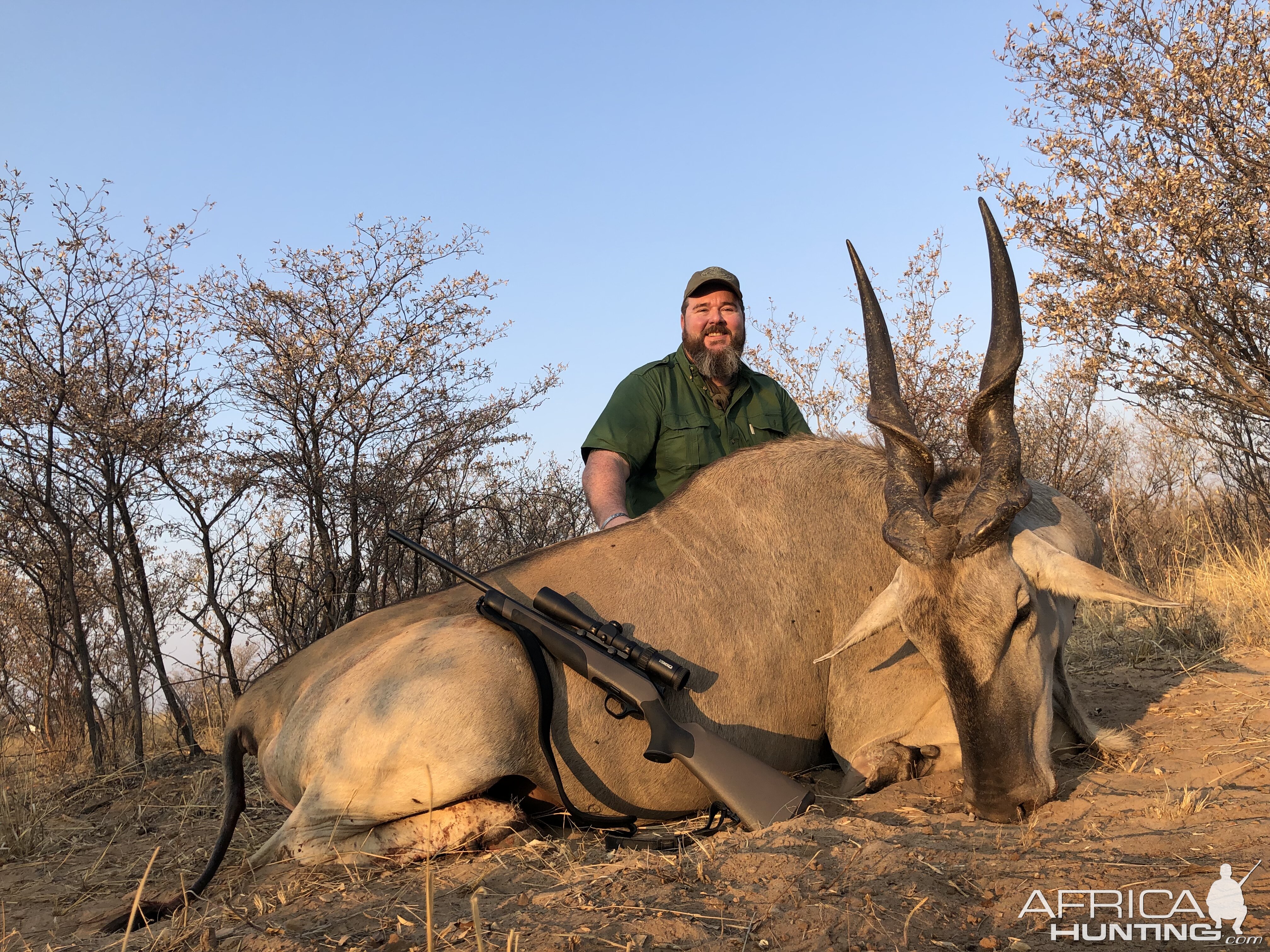 Eland Hunt Botswana