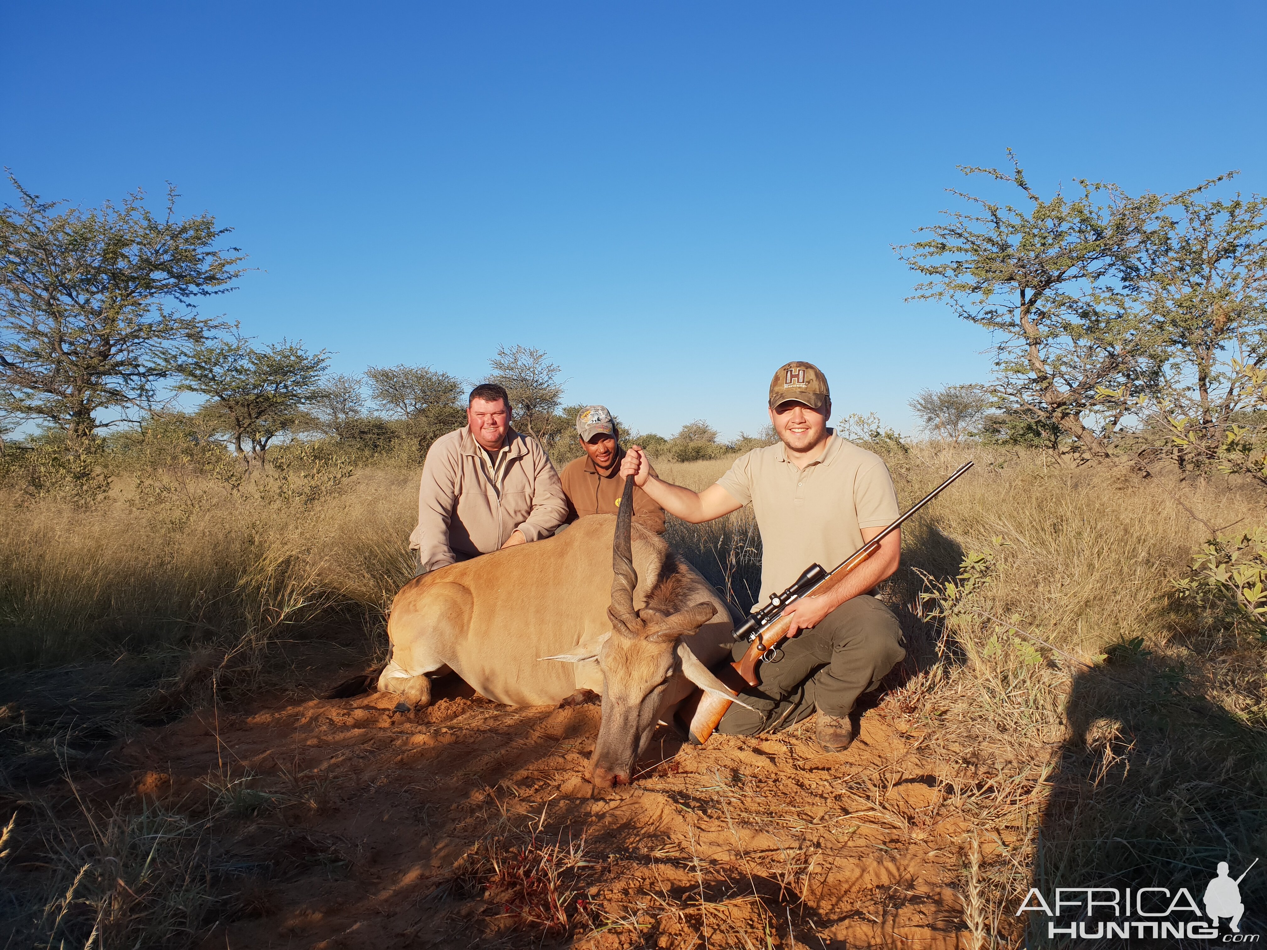 Eland Hunt in South Africa