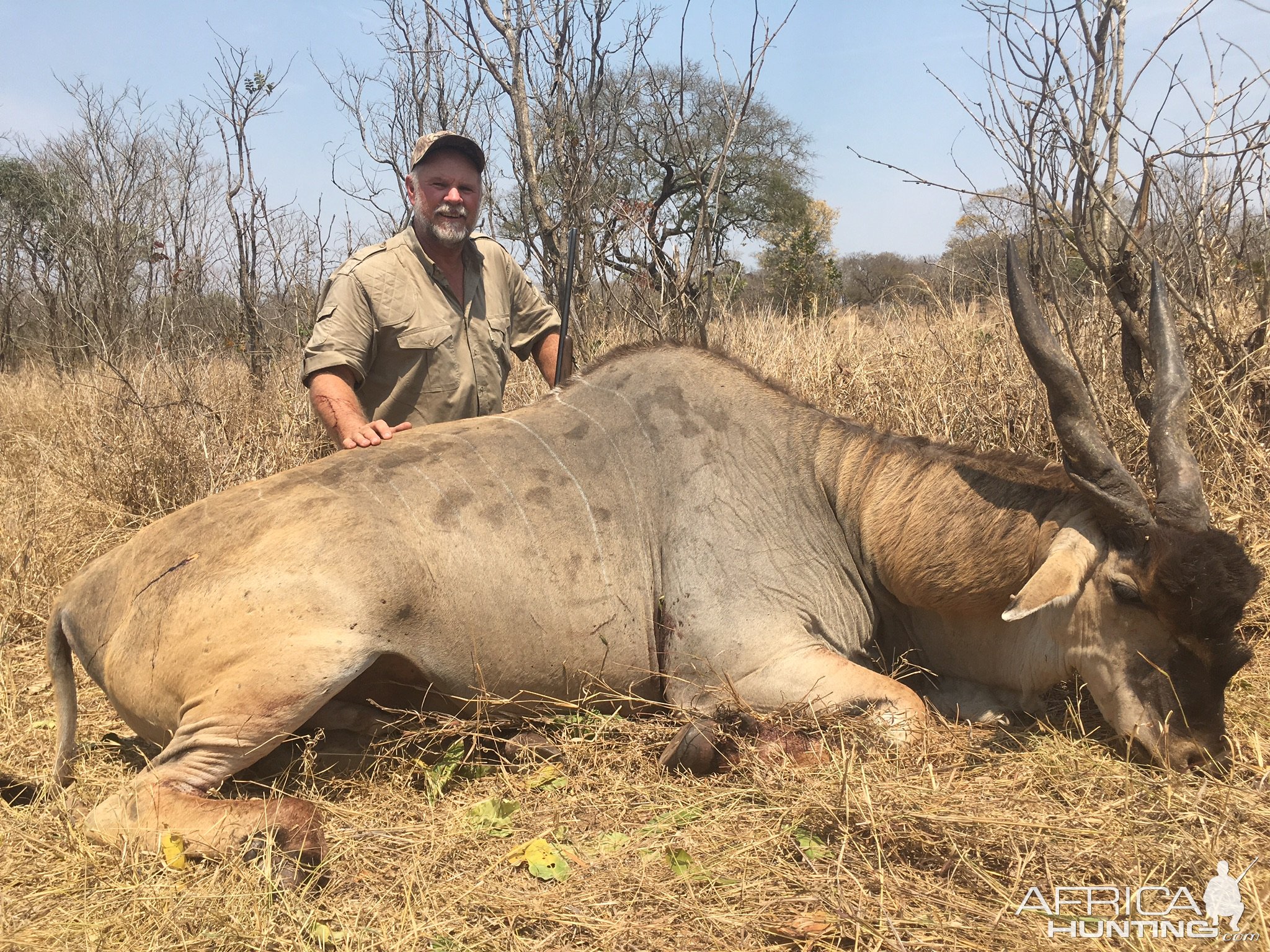 Eland Hunt Mozambique