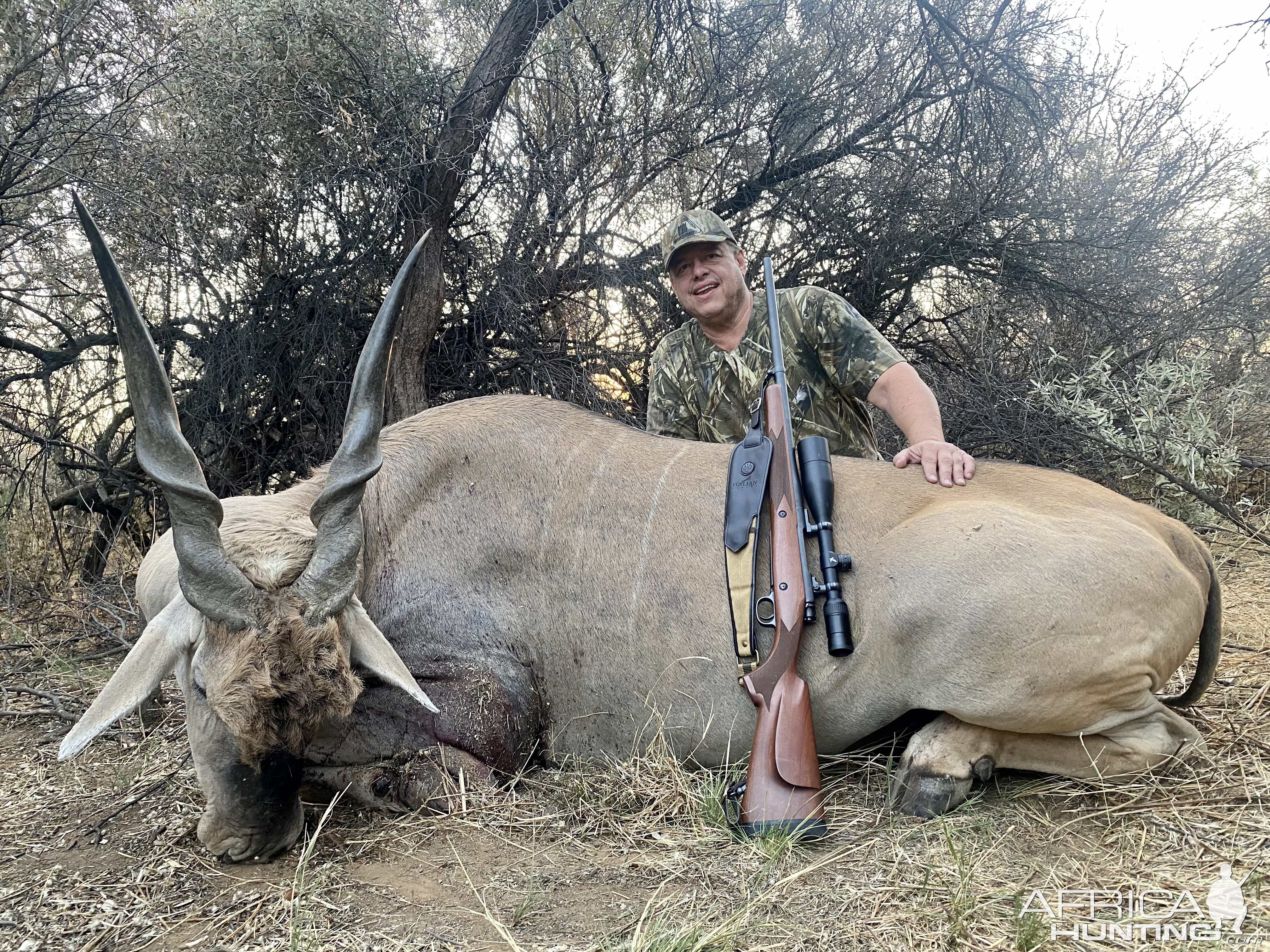 Eland Hunt Namibia