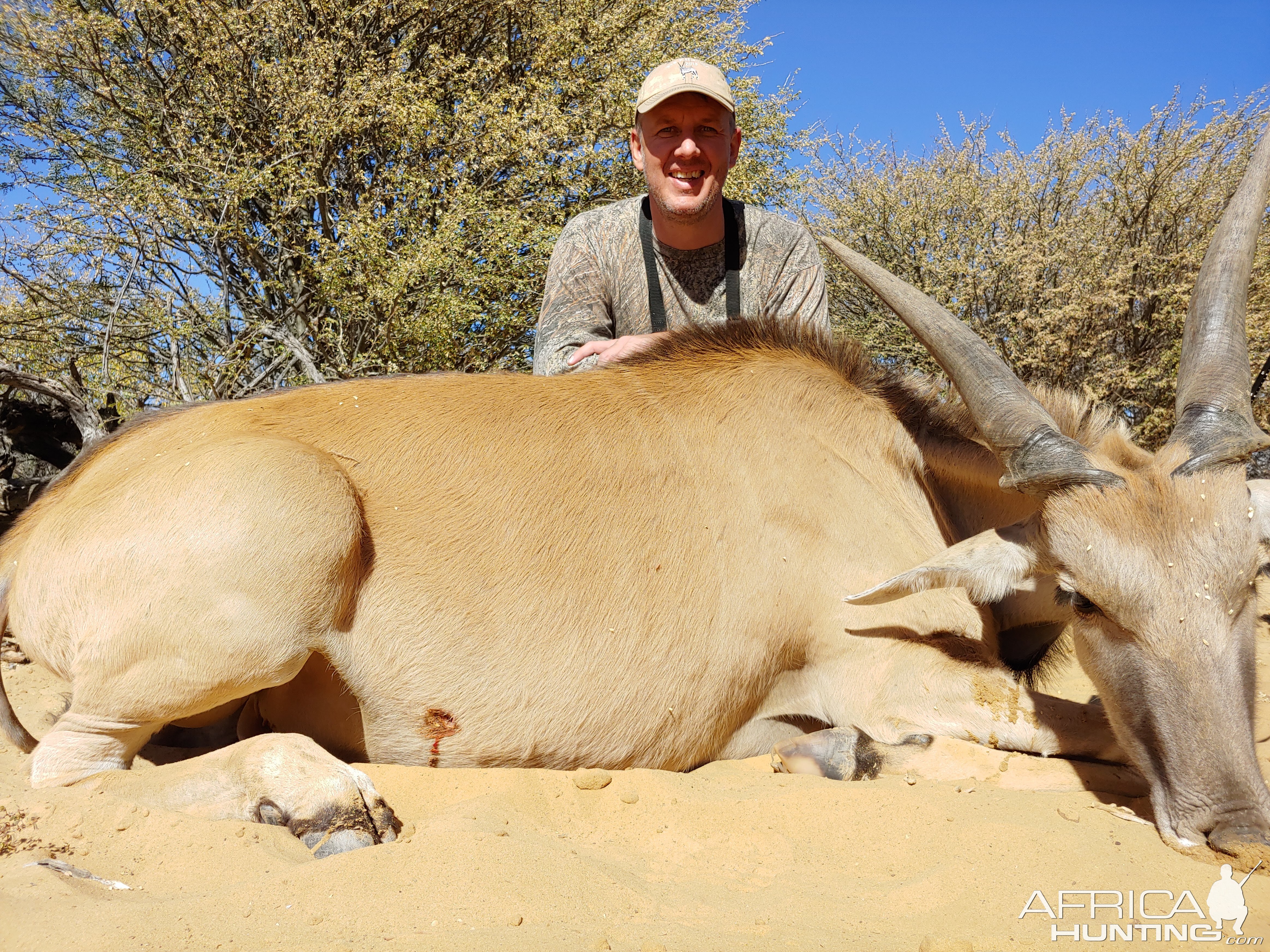Eland Hunt Namibia