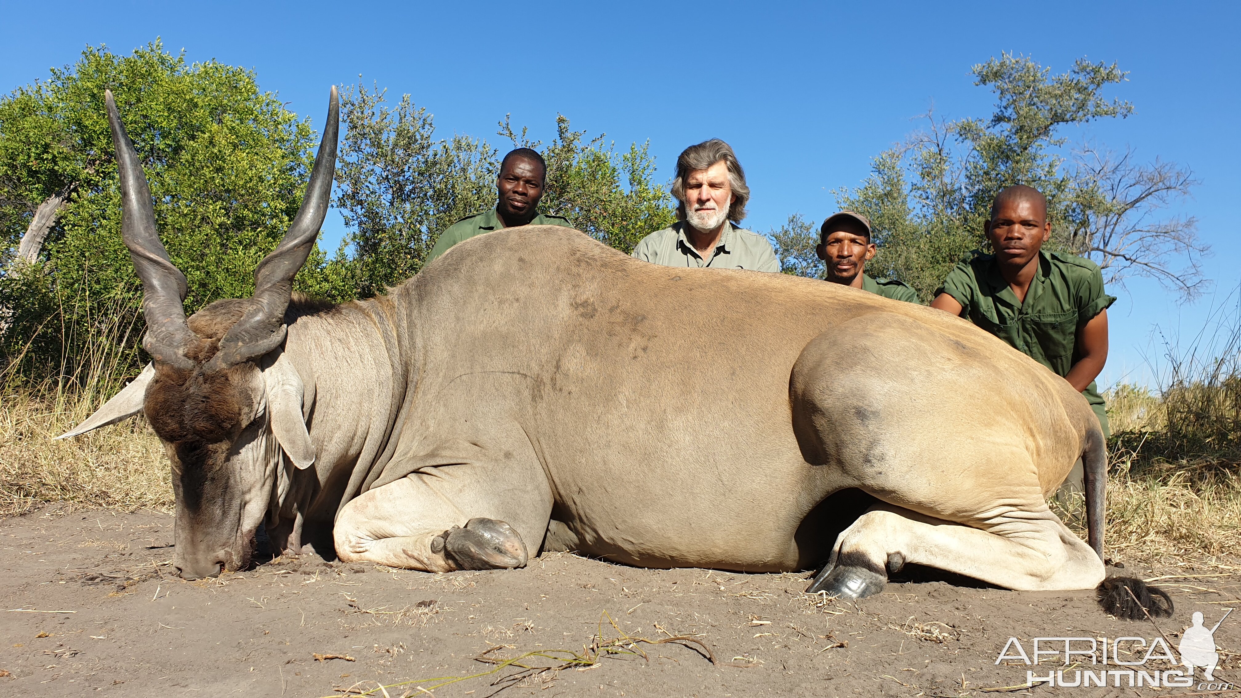 Eland Hunt Namibia