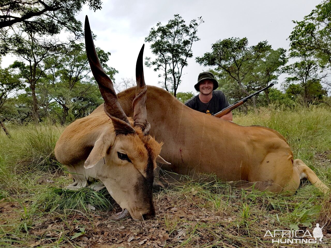 Eland Hunt South Africa