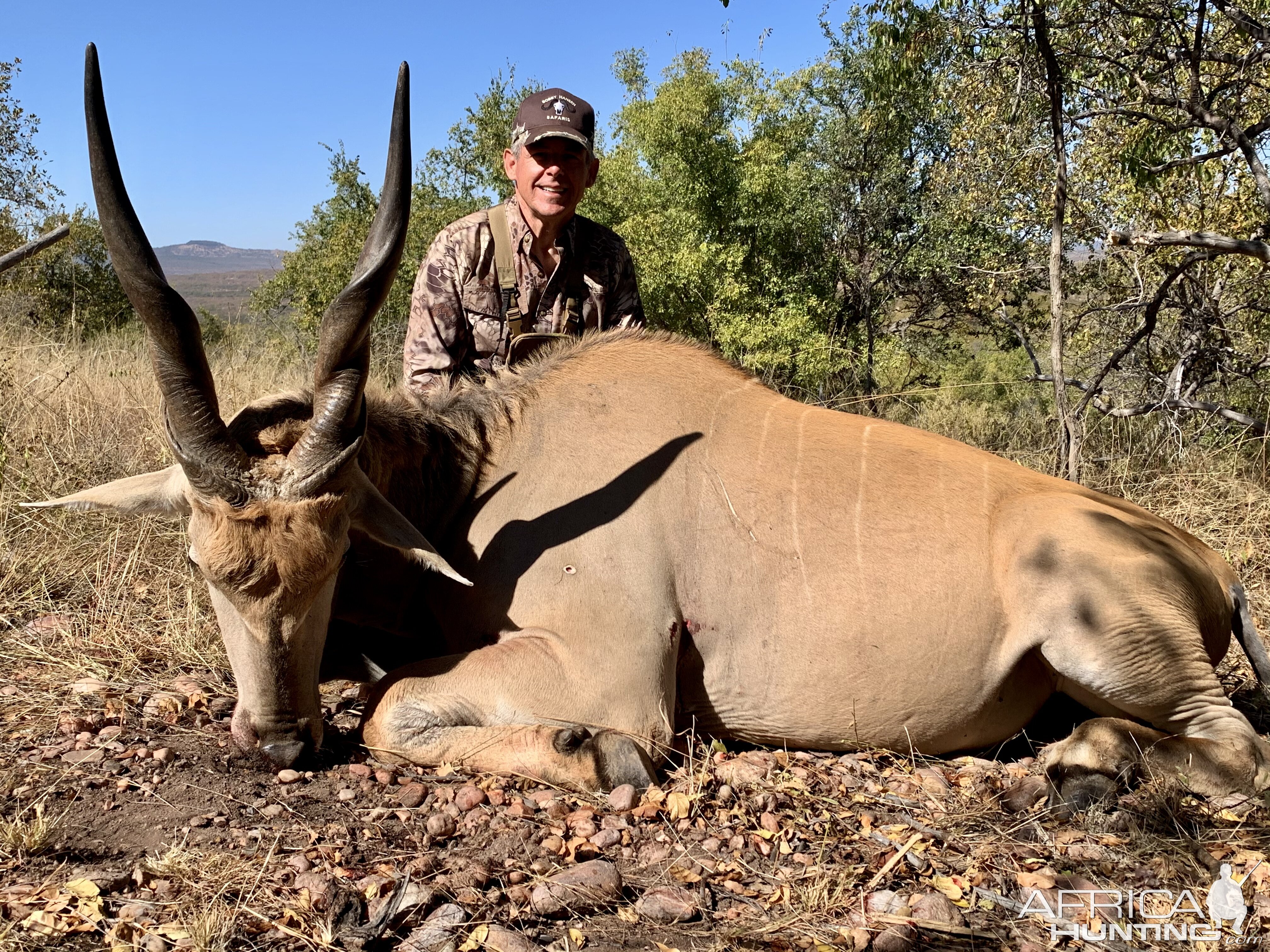 Eland Hunt South Africa