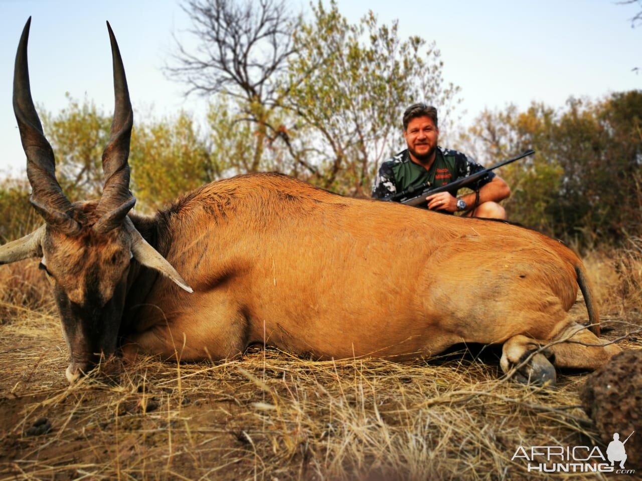 Eland Hunt South Africa