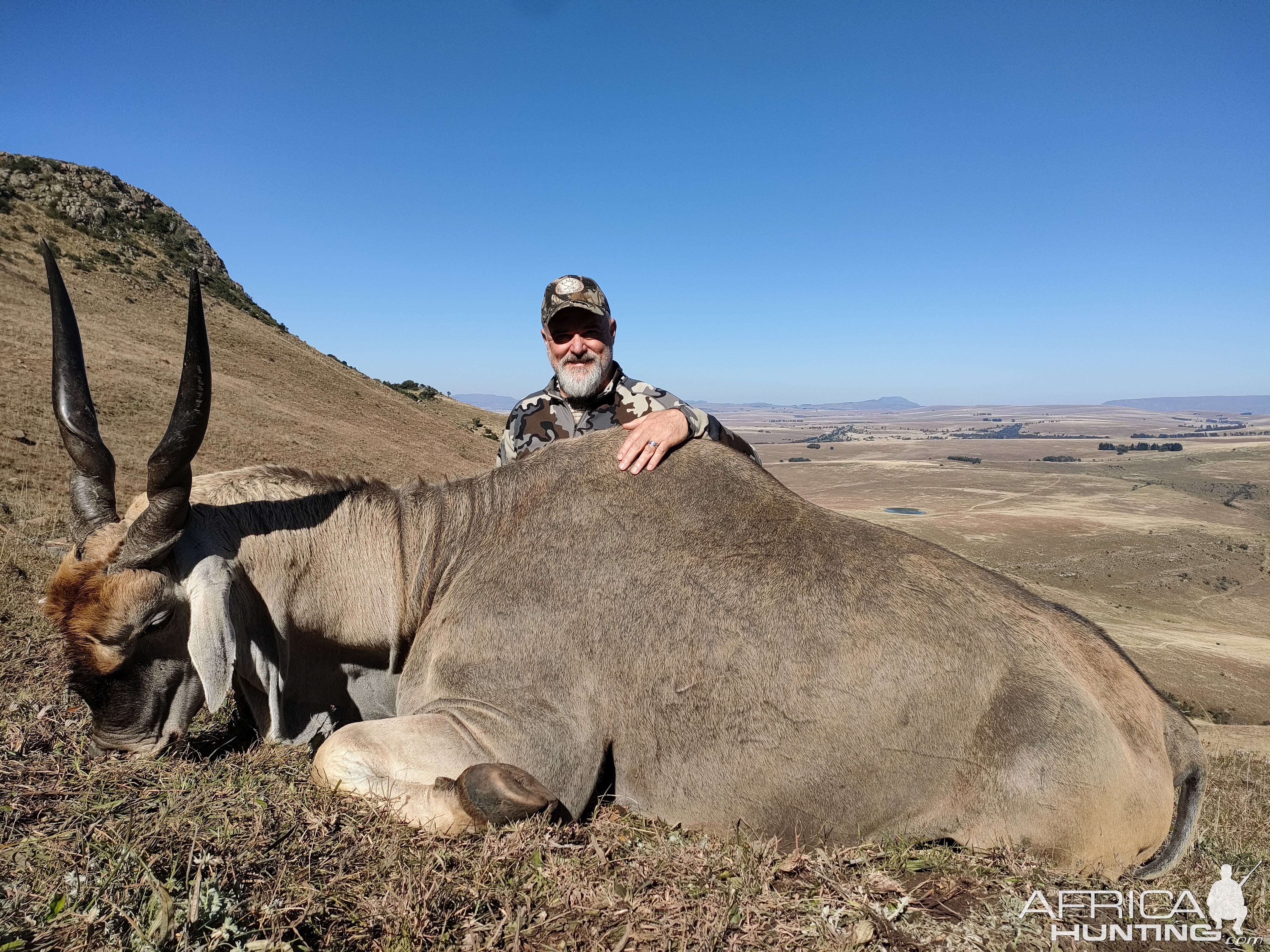 Eland Hunt South Africa