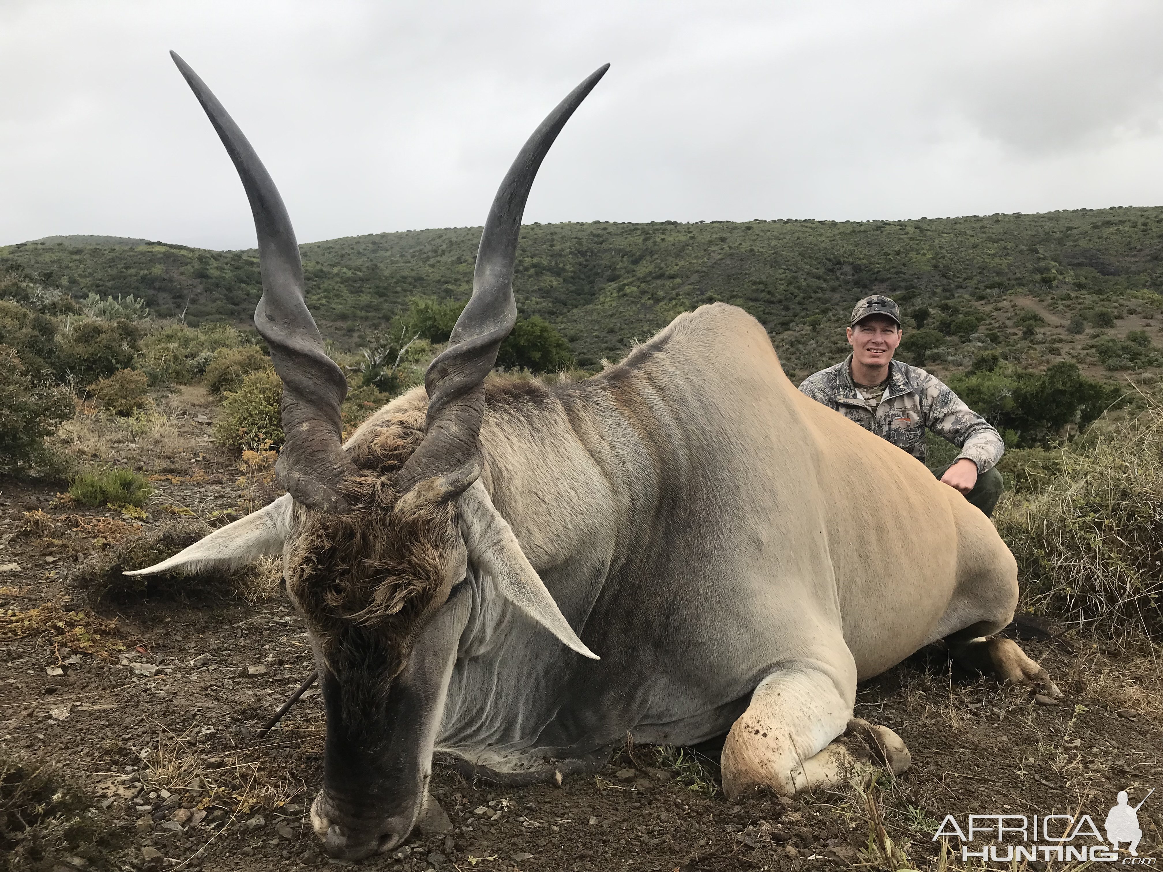 Eland Hunt South Africa