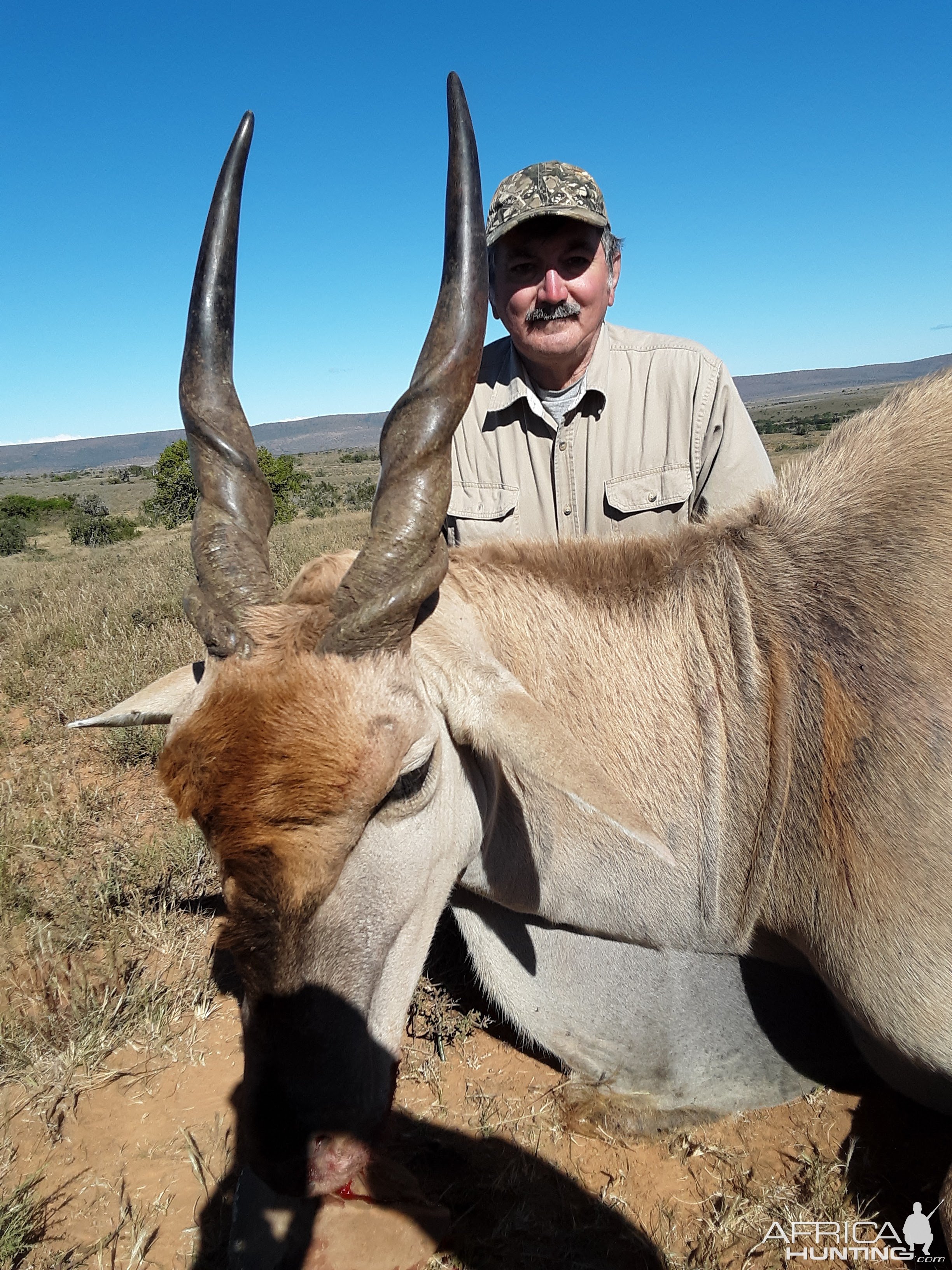 Eland Hunt South Africa