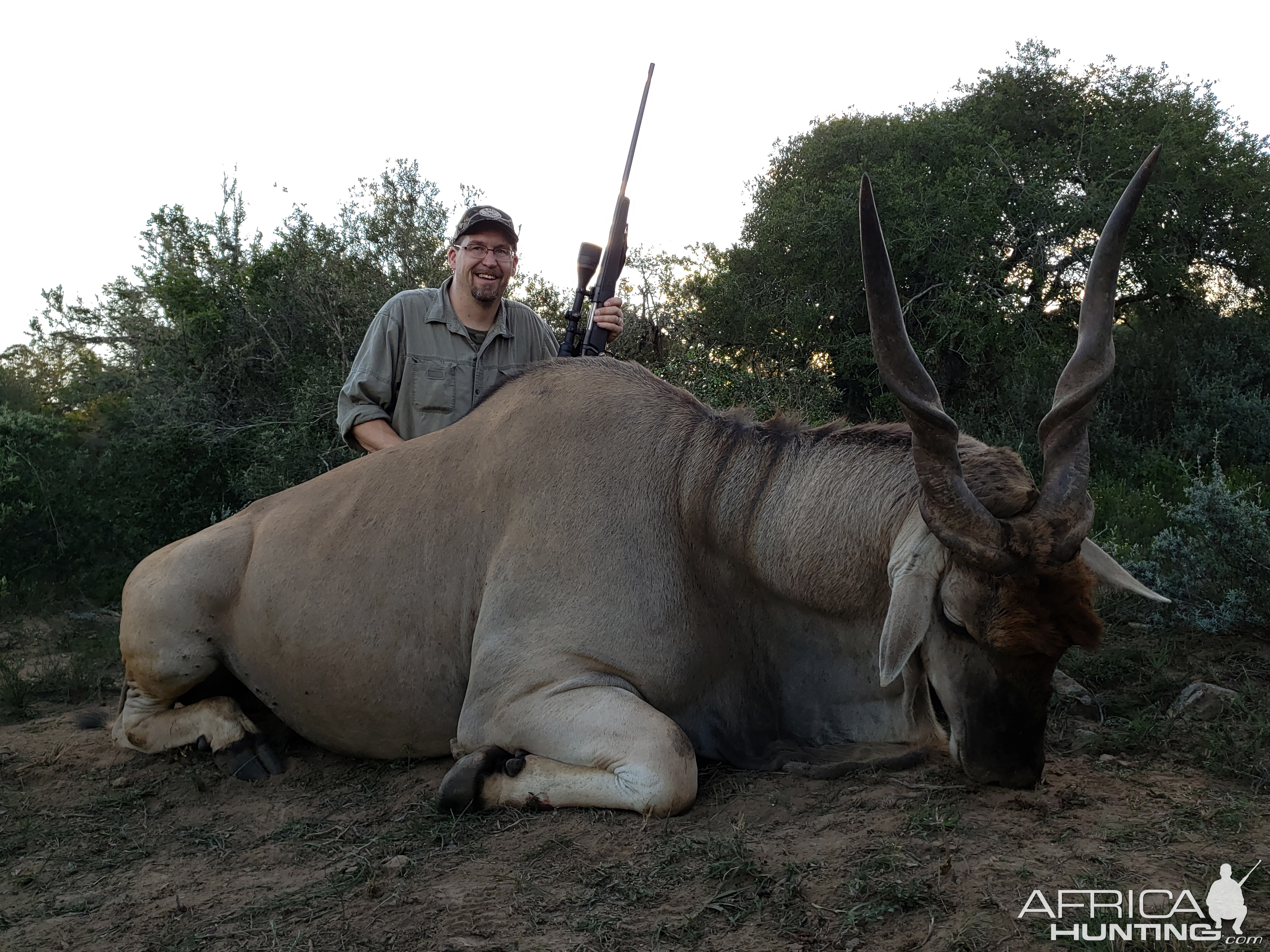 Eland Hunt South Africa