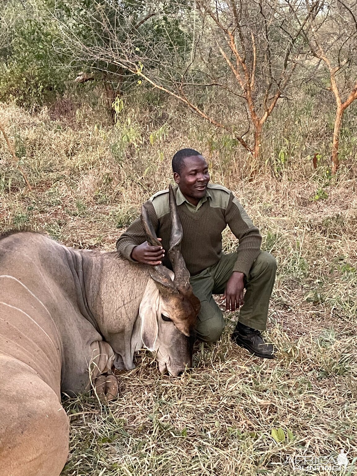 Eland Hunt Zimbabwe