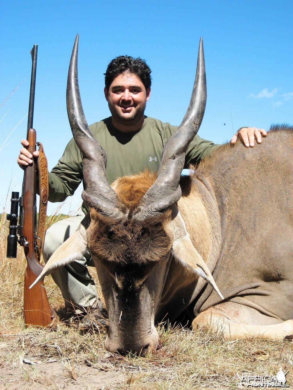 Eland hunted in Zimbabwe