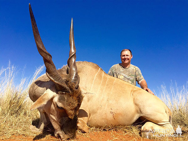 Eland Hunting in South Africa