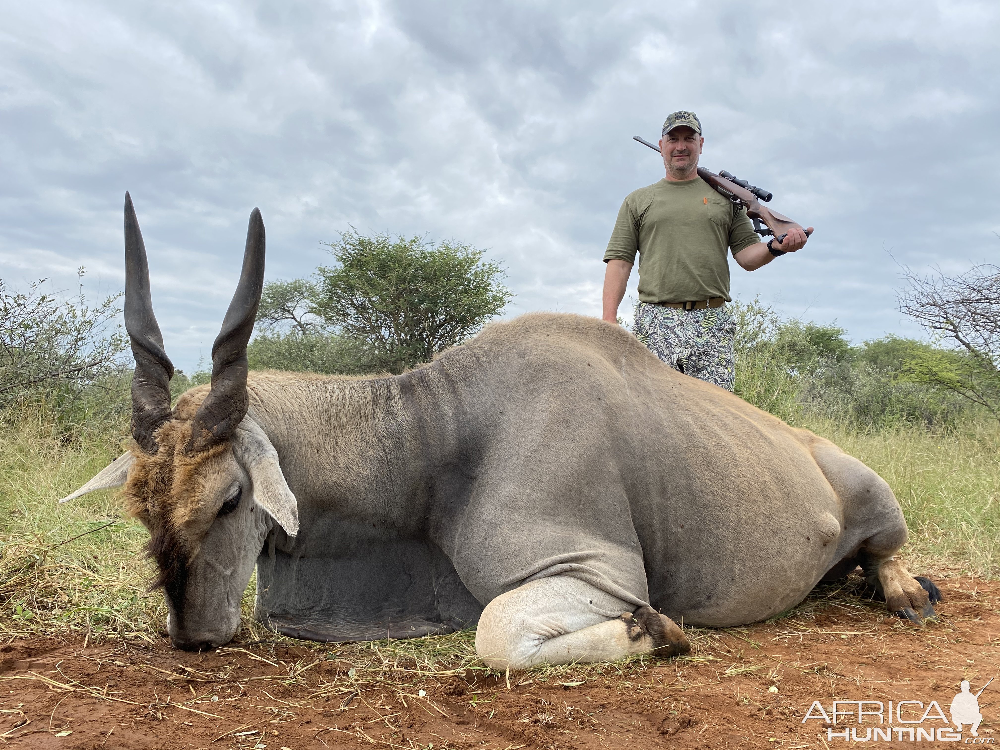 Eland Hunting Limpopo South Africa