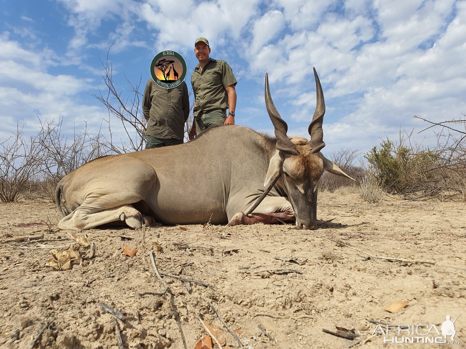 Eland Hunting Namibia