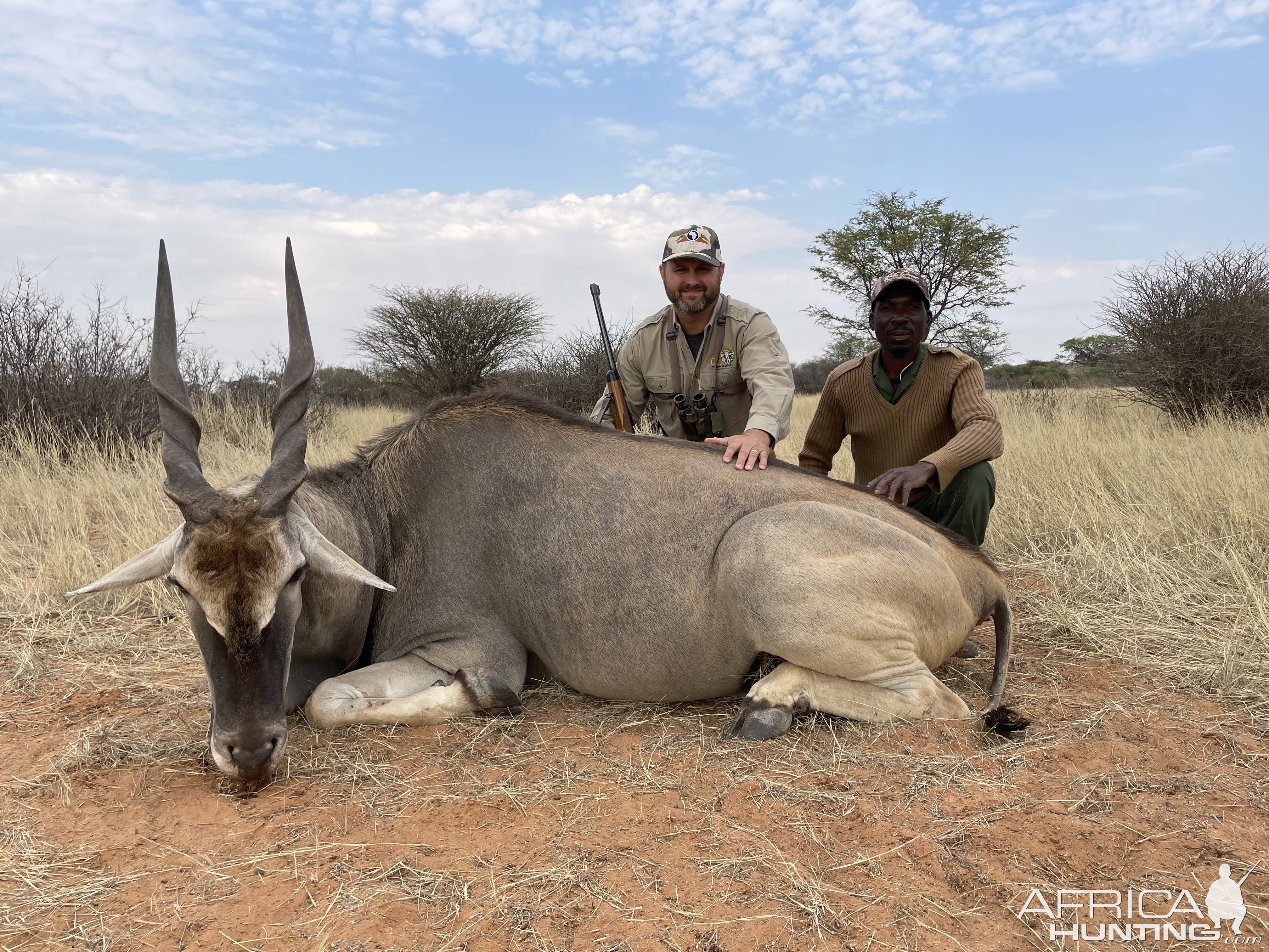 Eland Hunting Namibia