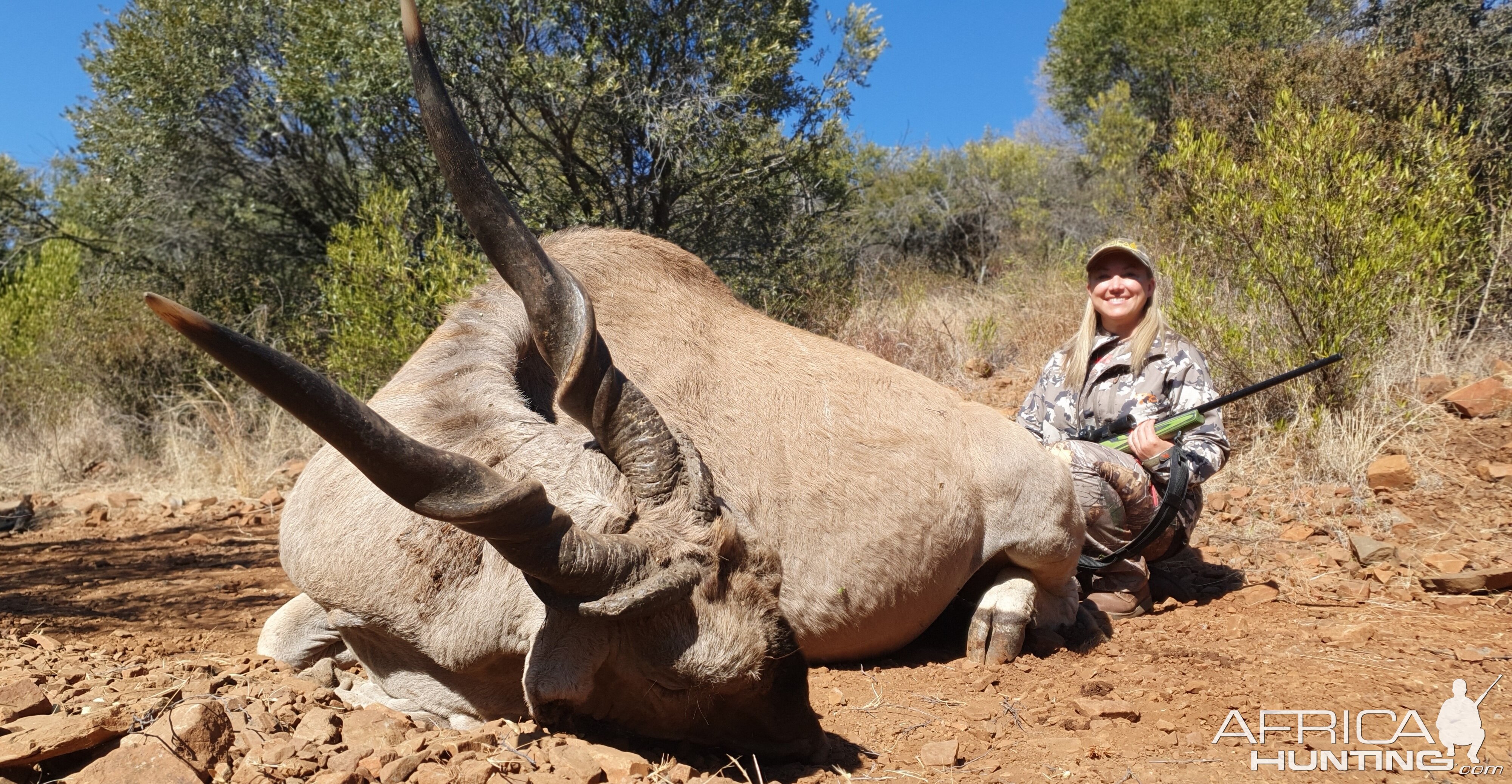 Eland Hunting South Africa