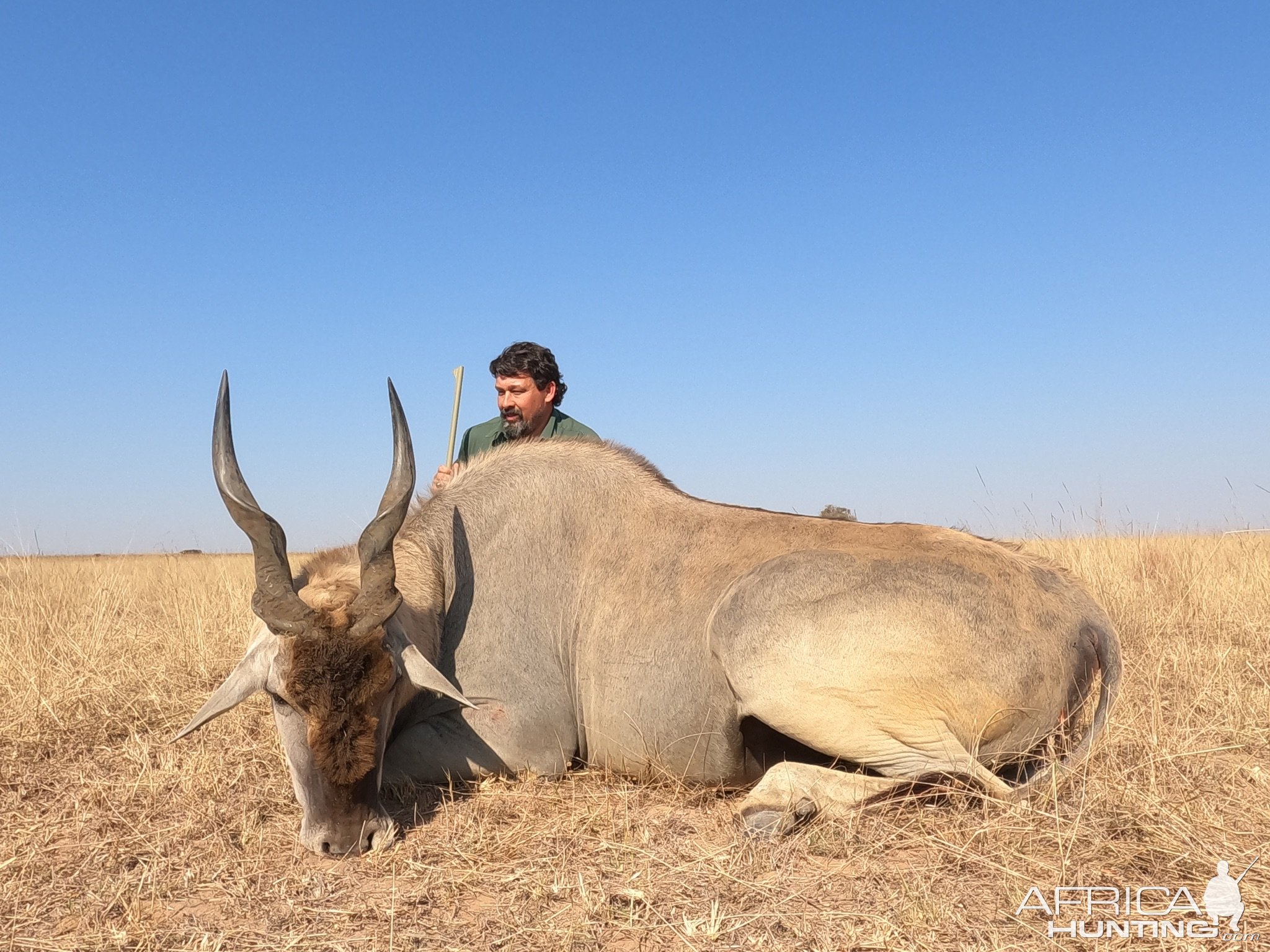 Eland Hunting South Africa