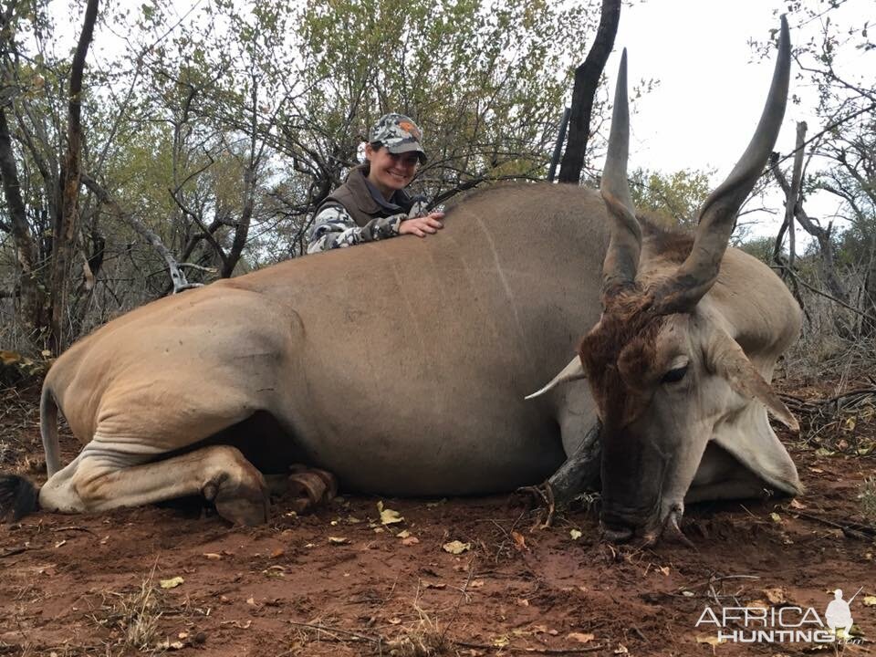 Eland Hunting South Africa