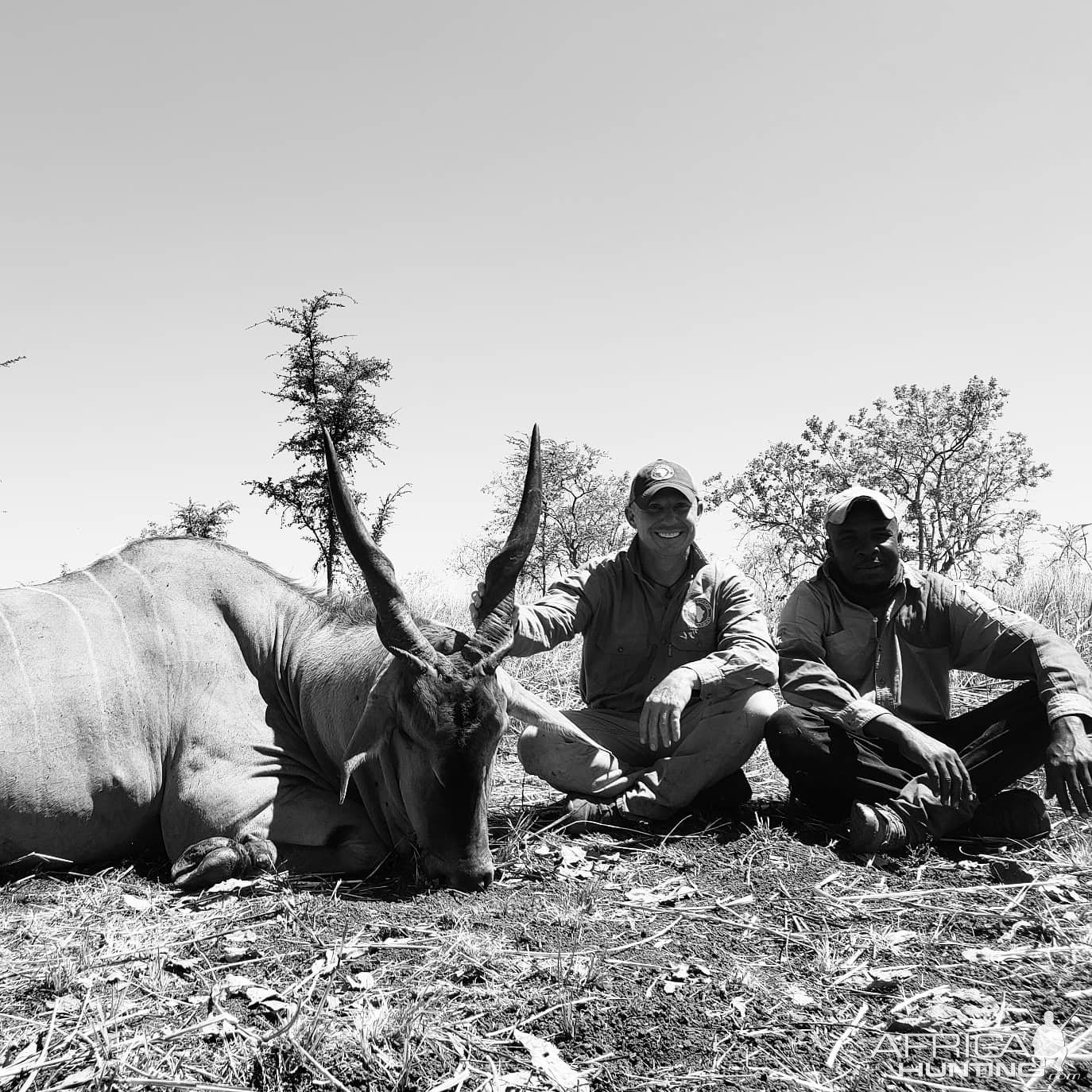 Eland Hunting Tanzania