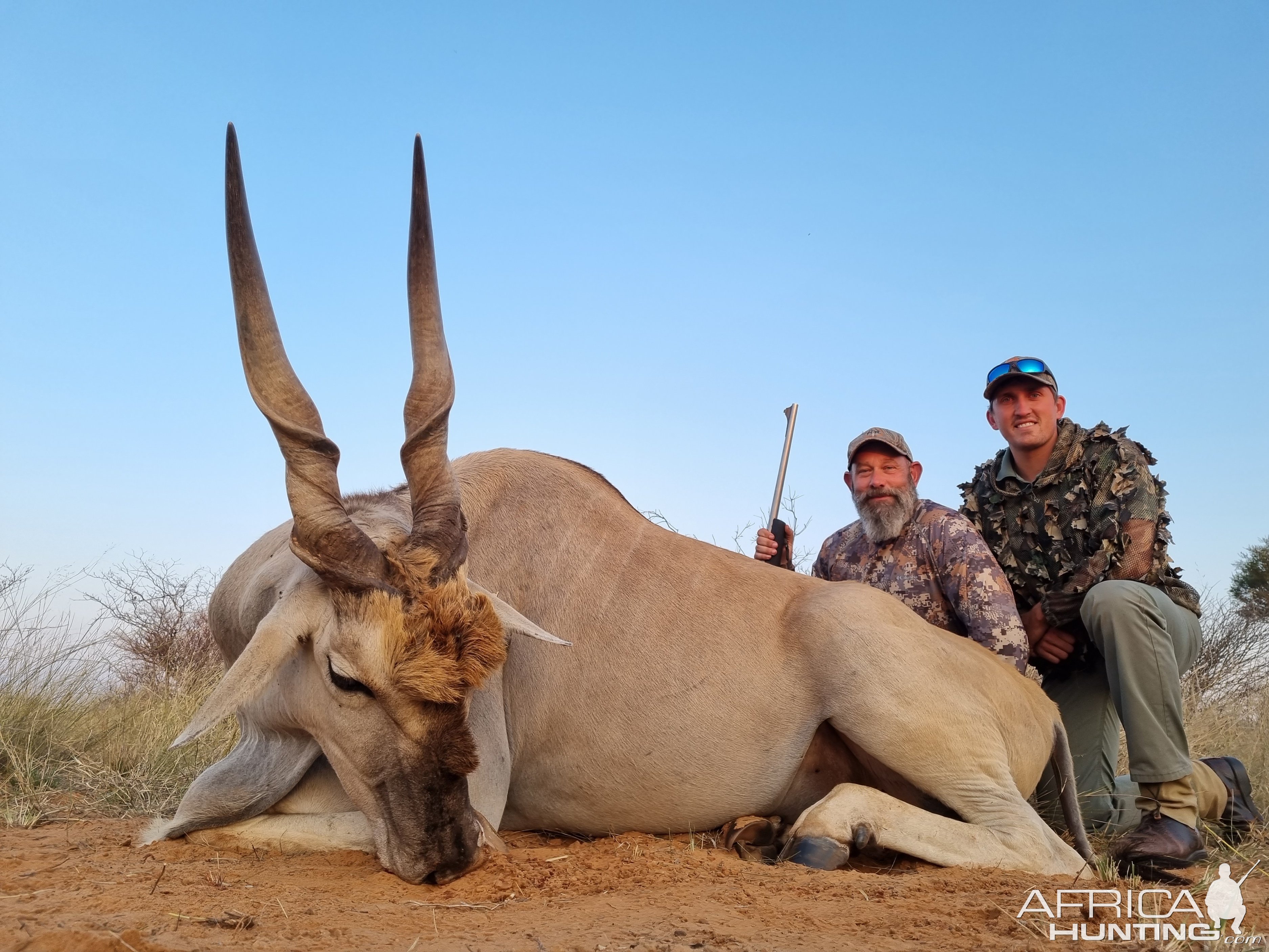 Eland Hunting