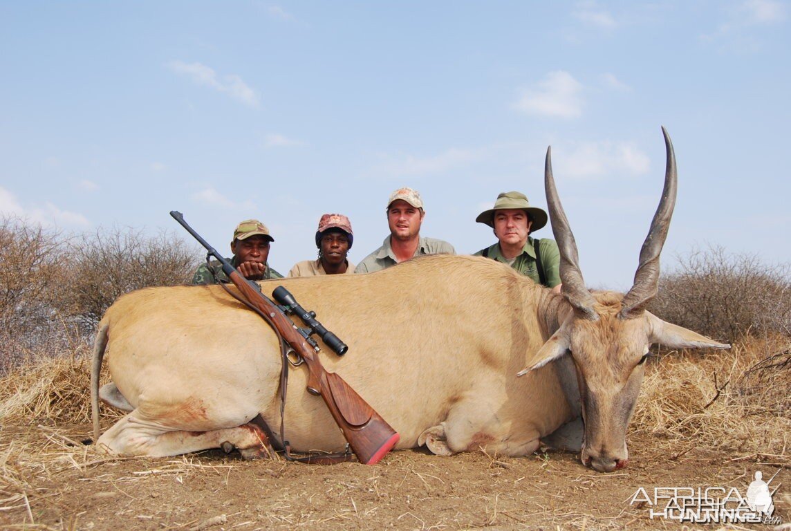 Eland Limpopo