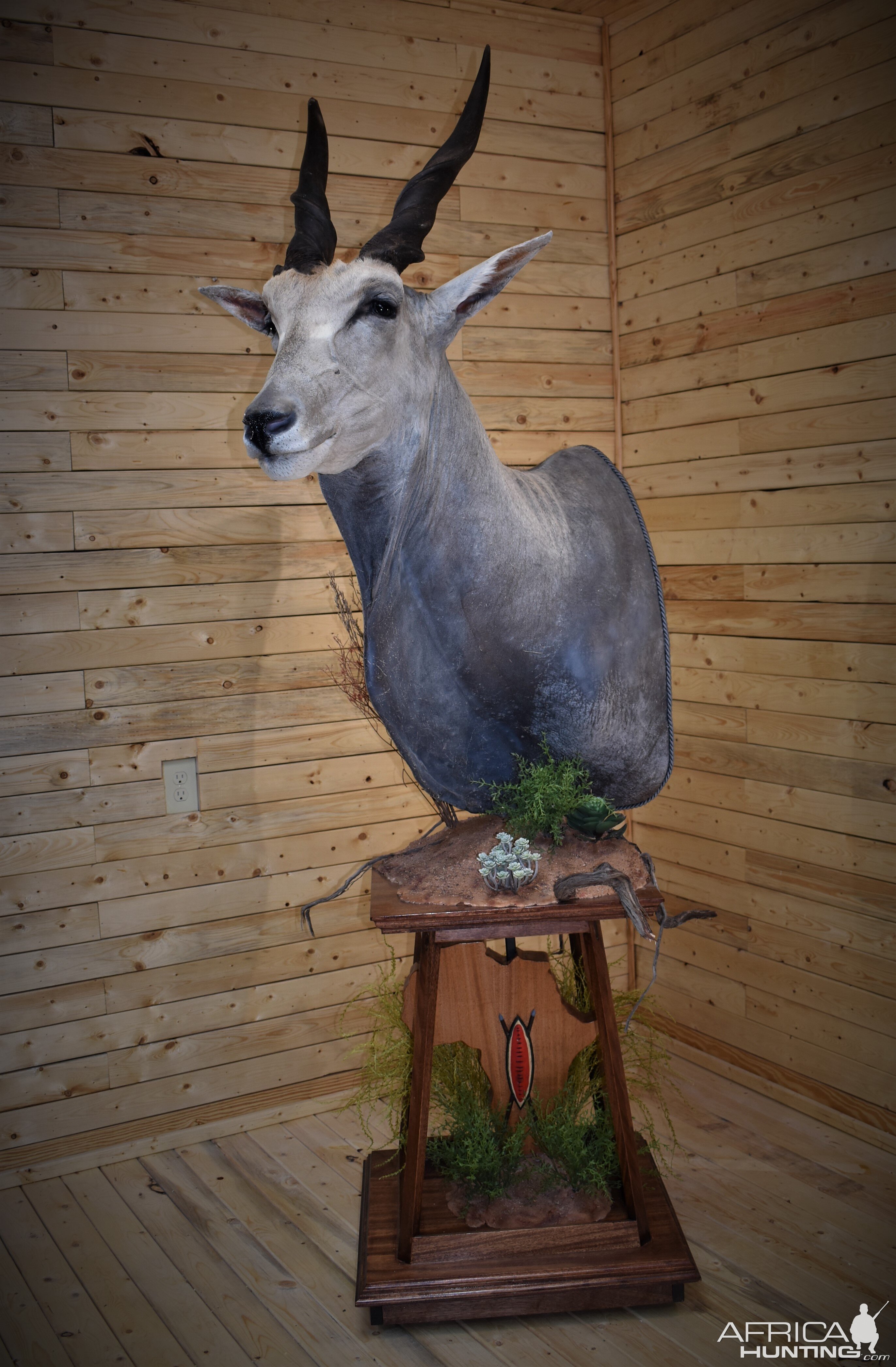 Eland Pedestal Mount Taxidermy