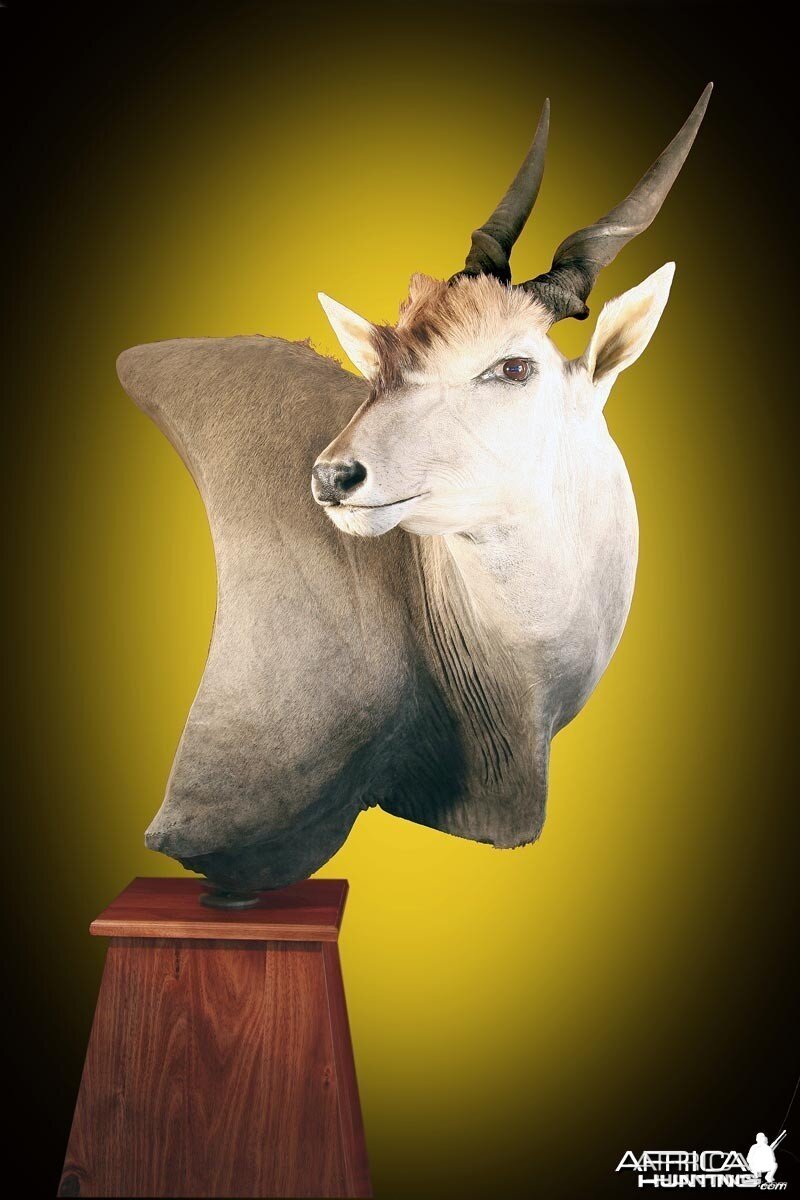 Eland pedestal mount