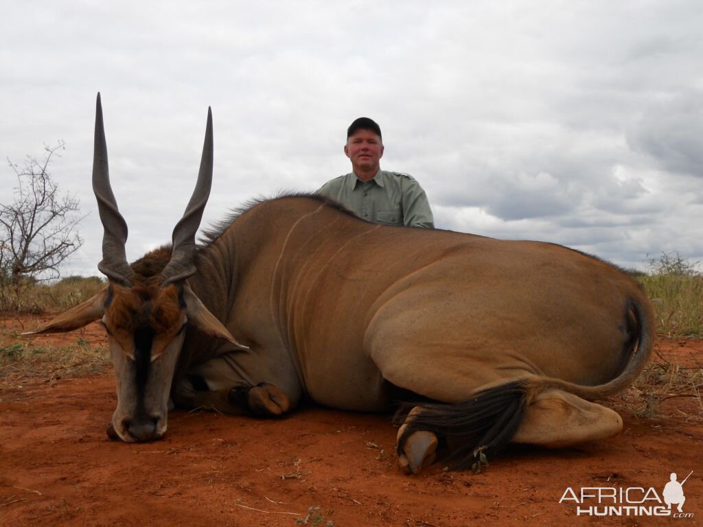 Eland Tanzania Hunt