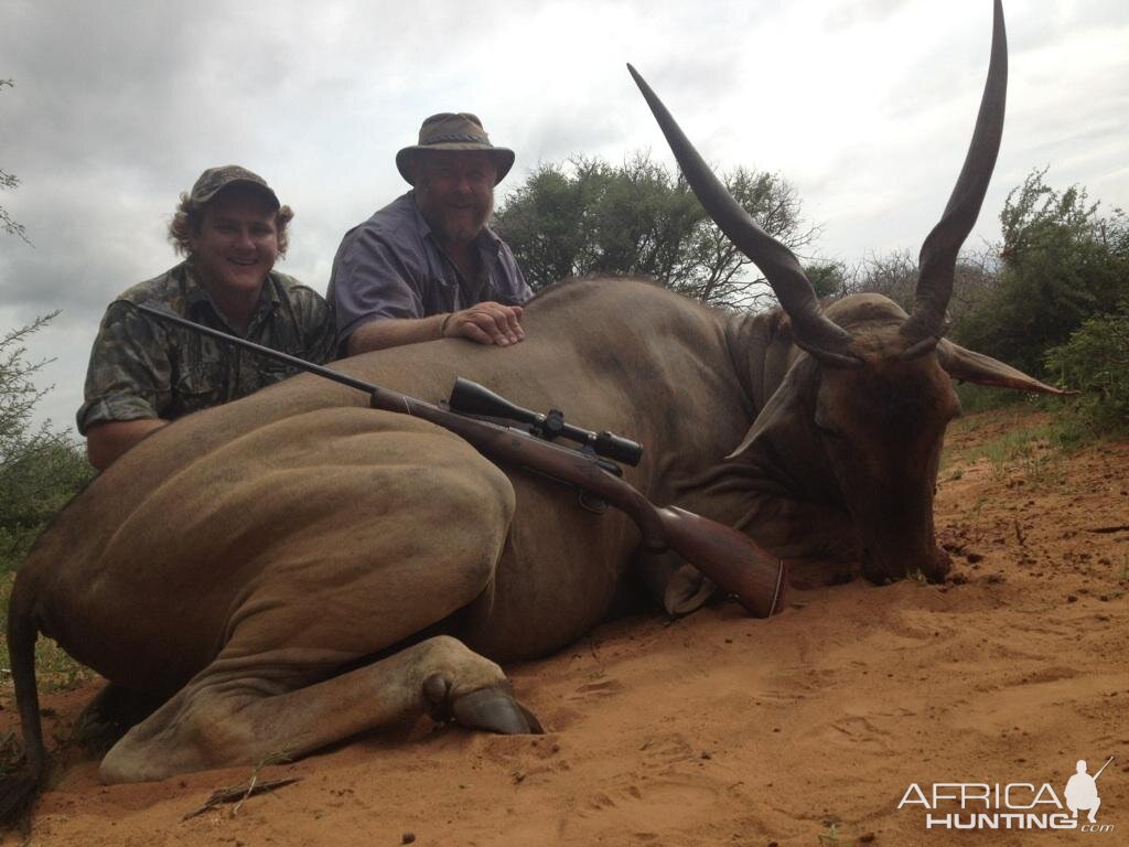 Eland-youngster