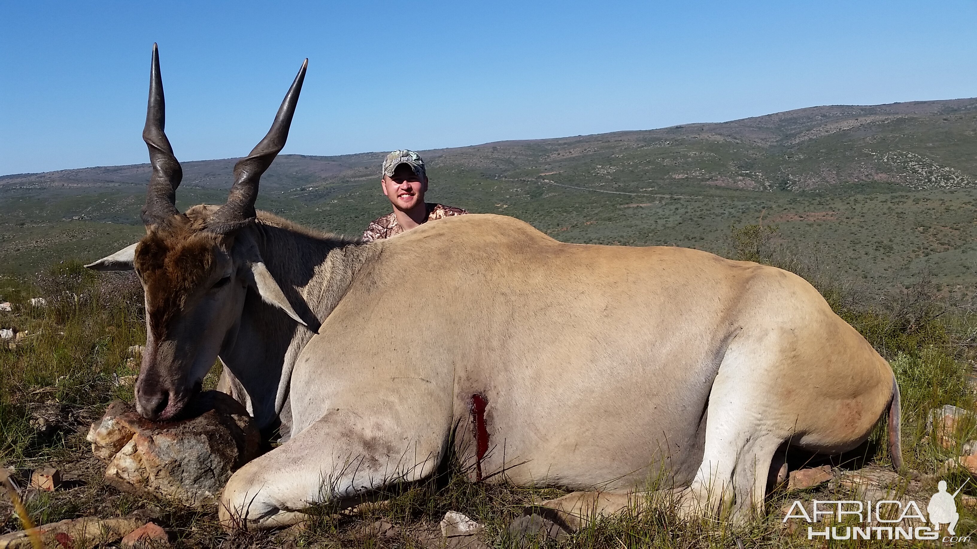 Eland