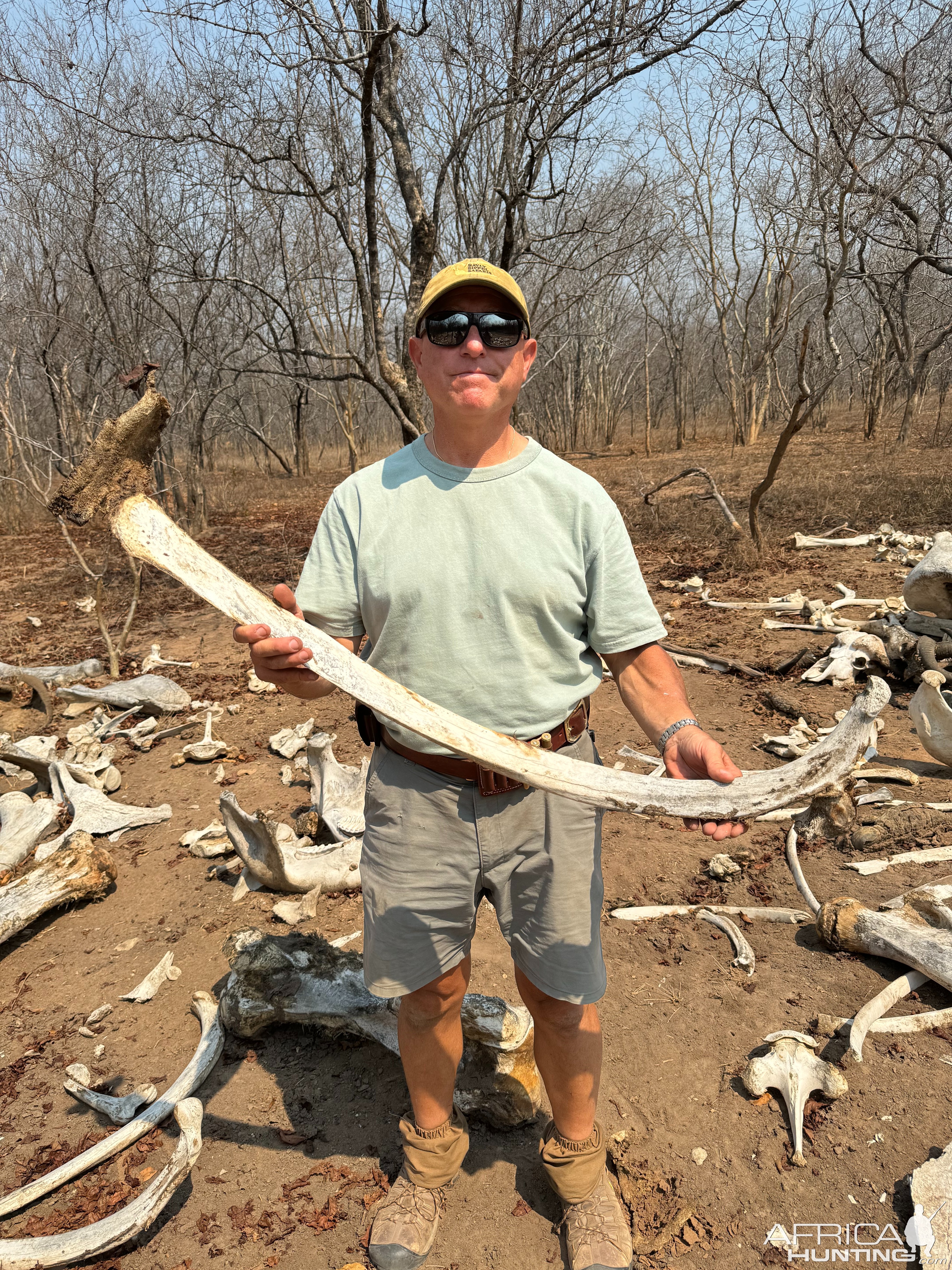 Elephant Bone Yard